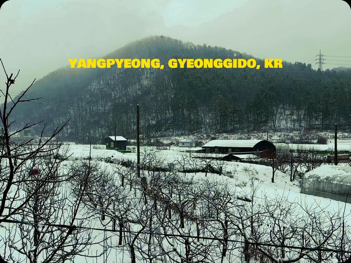 23년의 마지막은 역시 가족과 함께 아니겠습니까 :) 24년에는 좀 더 성실한 마음가짐으로 저의 위치에서 제가 경험하고 느낀 것들을 컨텐츠적으로 많이 공유할 수 있도록 하겠습니다. 그에따른 어떤 변화와 결과가 기다리고 있을지 모르겠지만, 지속적으로 하다보면 뭐가 되도 되지 않겠습니까 :) 

새해 첫 날인만큼 화이팅으로 한번 시작해봅니다. 그러므로 여러분들도 화이팅입니다! 그리고 새해에는 다들 좋은 일 많이 있을테니 기운들 내보시죠🔥 

새해 복 많이 받으십시오 🙏

#새해 #newyear #2024
