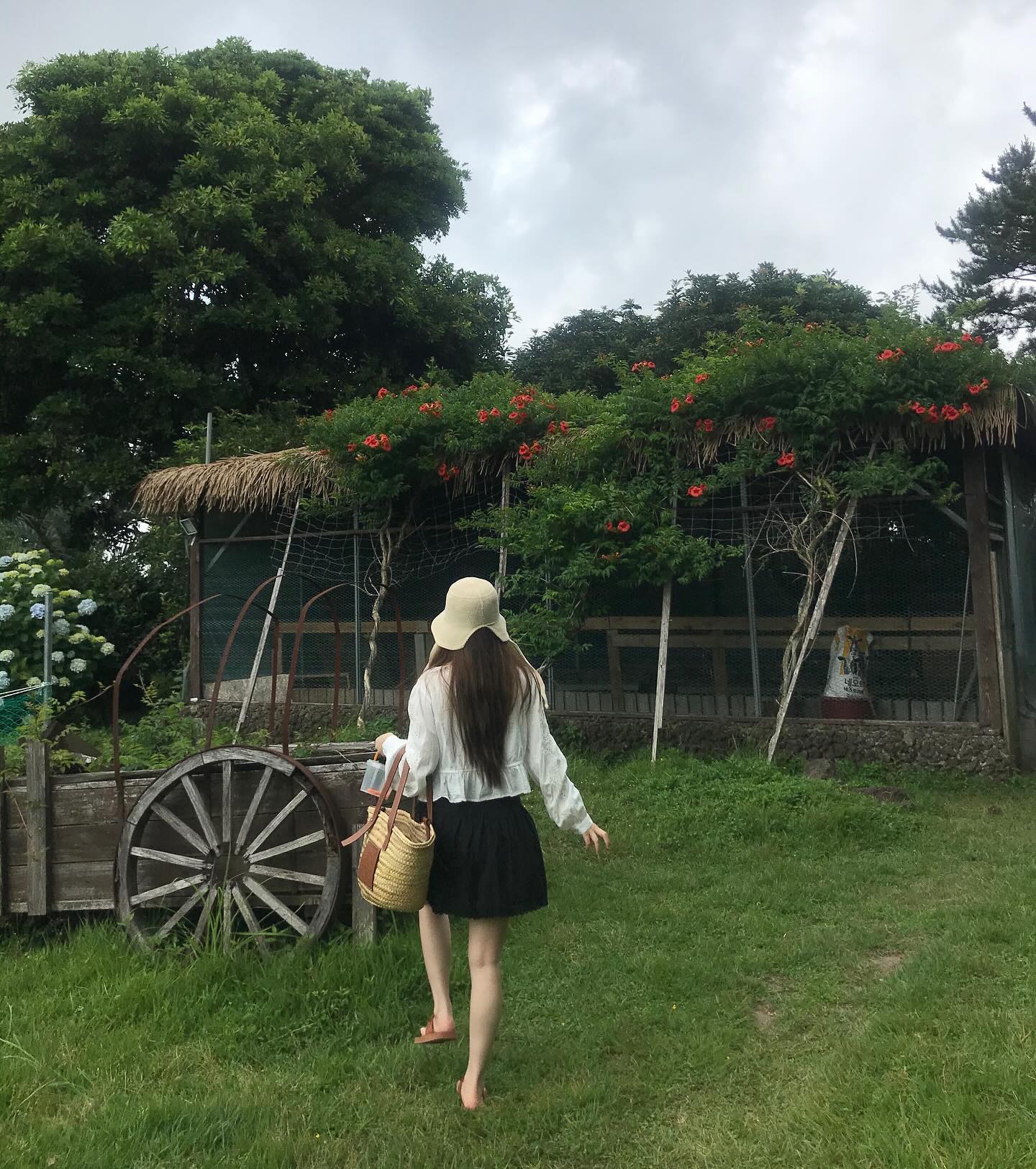 이제야 올리는..🐑👩🏻‍🌾🤍
 
 
#양떼목장 #제주도 #제주도여행 #제주가볼만한곳