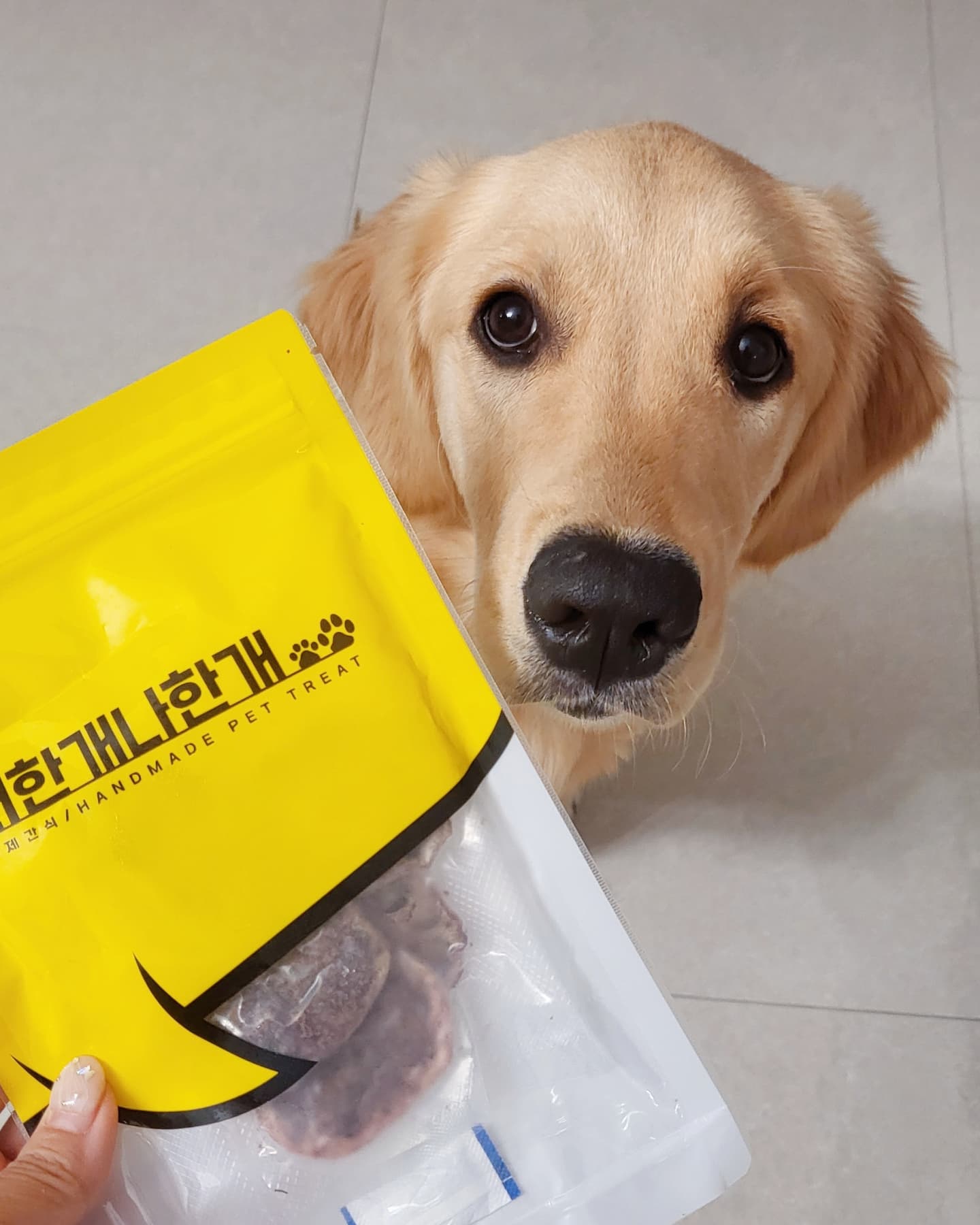 #협찬 uninos_pets_life
너한개나한개 연근칩(오리안심)🐶

울댕댕이들에게 간식을 많이 챙겨 주는데 수제간식을 많이 선택하는편이에용😄

너한개나한개 연근칩은 100% 국내생산 신선한 재료를 사용하여 직접 제조 생산하는 고집 있고 깐깐한 반려동물 간식이에용😍
방부제, 첨가제, 색소를 사용하지 않았으며
사람이 먹을 수 있을 만큼 안전한 반려동물 수제 간식이고
영양 가득한 기호성 좋은 수제 간식이며, 기력회복에 도움을 주니 요즘같이 더운 여름철에 넘 좋은거 같아요👍

HACCP 인증, 휴먼그레이드 제품으로 안심하고 먹일 수 있으니 연근칩 간식을 자주 준비해 줘야겠어요🤗

#유니노스#강아지간식#반려견간식#애견간식#개간식#강아지간식추천#펫푸드#강아지연근#강아지수제간식#강아지영양간식#강아지껌#강아지져키#강아지츄르#애견육포#강아지육포#너한개나한개