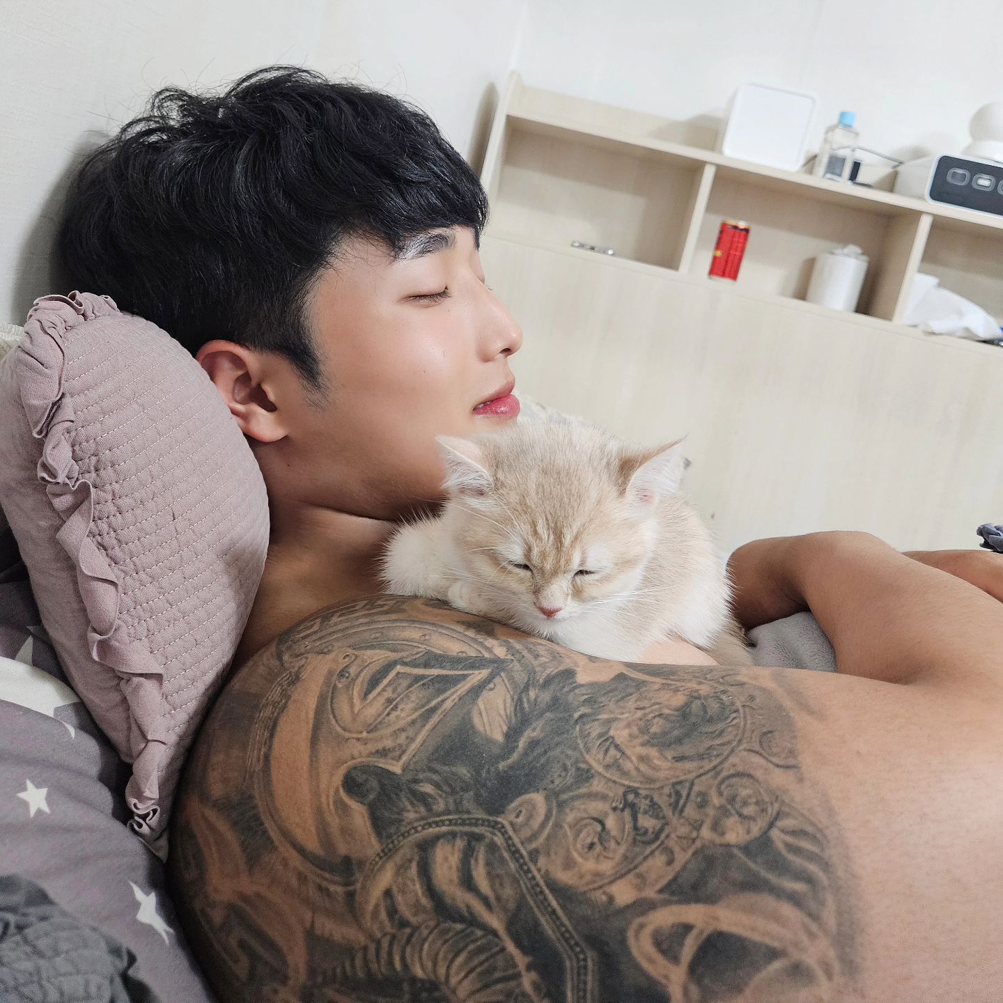 콘텐츠