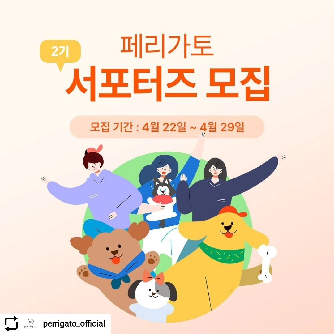 #Repost perrigato_official with let.repost 
• • • • • •
#서포터즈2기모집#페리가토

안녕하세요! 페리가토입니다💛
반려동물 라이프스타일 브랜드 페리가토에서
서포터즈 2기 모집을 시작합니다!

어떤 친구들이 페리가토와 함께하게 될 지 ,
너무너무 기대가 되는데요👀🐾
우리 반려견 친구들이 더 안전하고 더 행복한 나날을 보낼 수 있도록
반려인 여러분의 열정 넘치는 참여과 관심을 기다립니다!

서포터즈로 선정되면, 페리가토의 다양한 제품 체험 기회와
앞으로 나올 신제품에 대한 아이디어 공유,
반려인들과의 즐거운 소통까지 모두 모두
경험 하실 수 있답니다! 신청폼은 프로필링크에 적어놓았으니
꼼꼼히 작성하신 후 2기 활동 신나게 해보아요! 

✅ 참여방법 
1.  페리가토 인스타 피드 리그램&좋아요
2.  페리가토 인스타(perrigato_official) 팔로우
3.  프로필 링크에 있는 서포터즈 신청서 작성!
3.  해당 게시글에 댓글로 ’서포터즈 신청완료‘ 남기기!
(🚨 댓글로 꼭 남겨주셔야 최종 신청이 완료됩니다! )

✅ 모집기간
2024년4월22일~ 4월29일

✅ 선정발표
2024년 5월1일
(선정되신 분들은 DM 또는 이메일로 연락 드립니다)

그럼, 많은 관심 부탁드리며
서포터즈 2기 기다릴게요🫶🏻🫶🏻🫶🏻