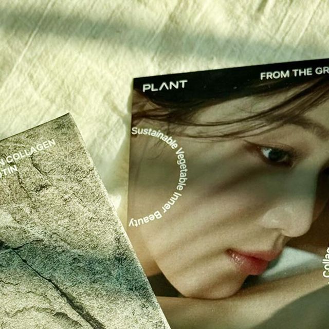이 예빈 on Instagram: "- #ad #광고 @plantbyseed [플랜트] 식물성 콜라겐 비오틴 / 15포 🌿 먹으면서 얼태기 극뽁!!✨✨ 식물성 콜라겐에 액상타입이라서 알약보다 채네 흡수율이 높아 효과를 두배로