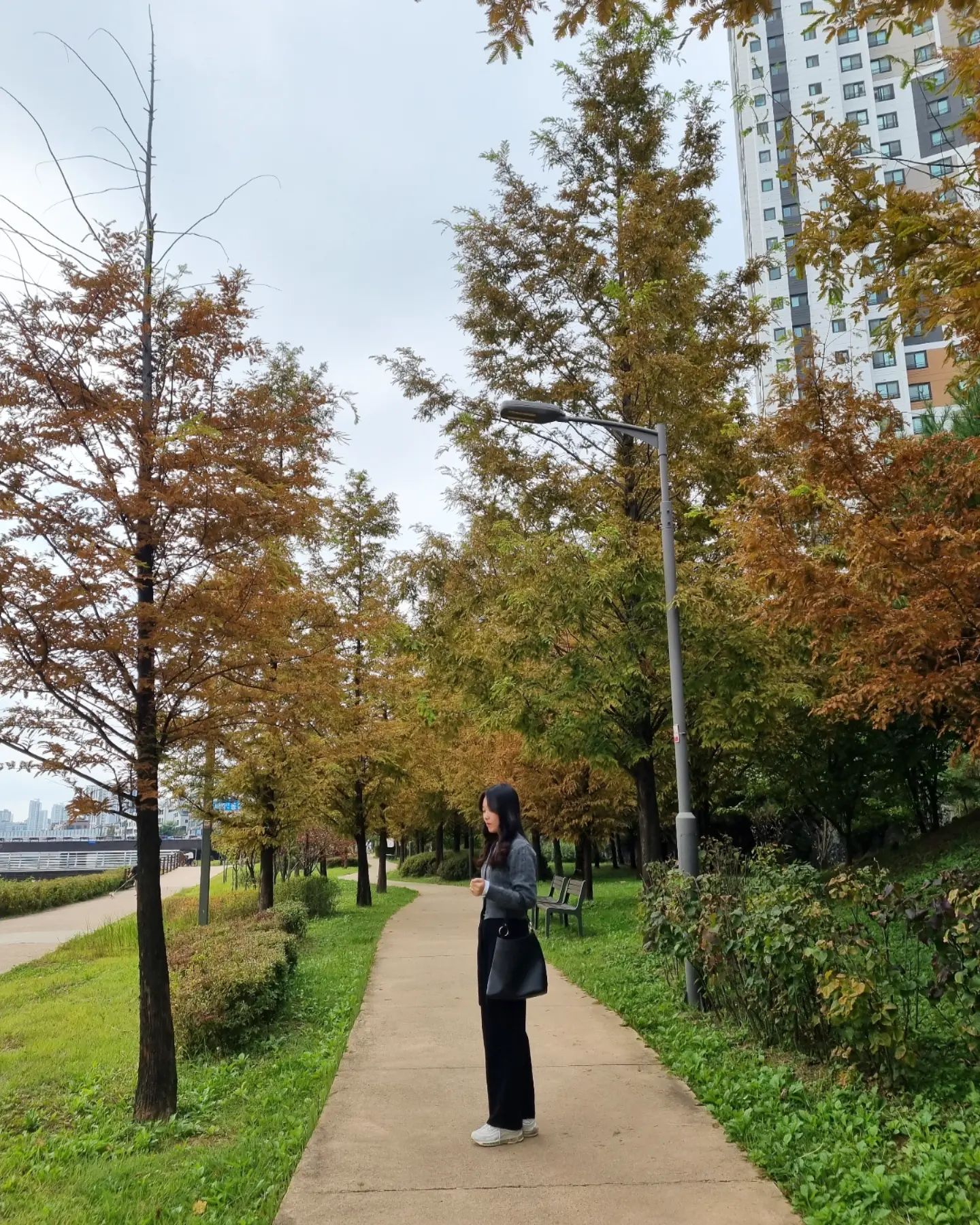 가을🍂
.
.
.
#가을 #산책 #치동천 #동탄2신도시 #가을하늘 #주말나들이 #일상 #셀카 #selfie #selca #daily #dailylook #ootd #ootdfashion #첫줄 #소통 #좋아요