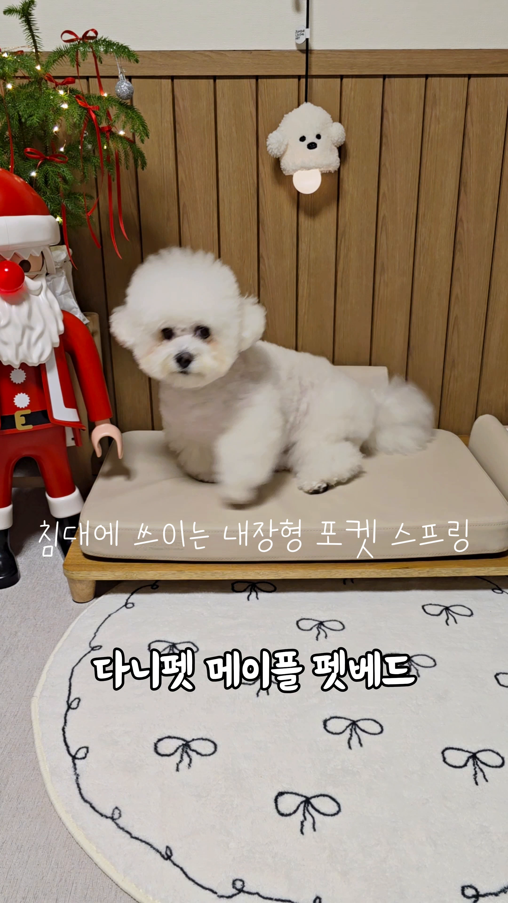콘텐츠
