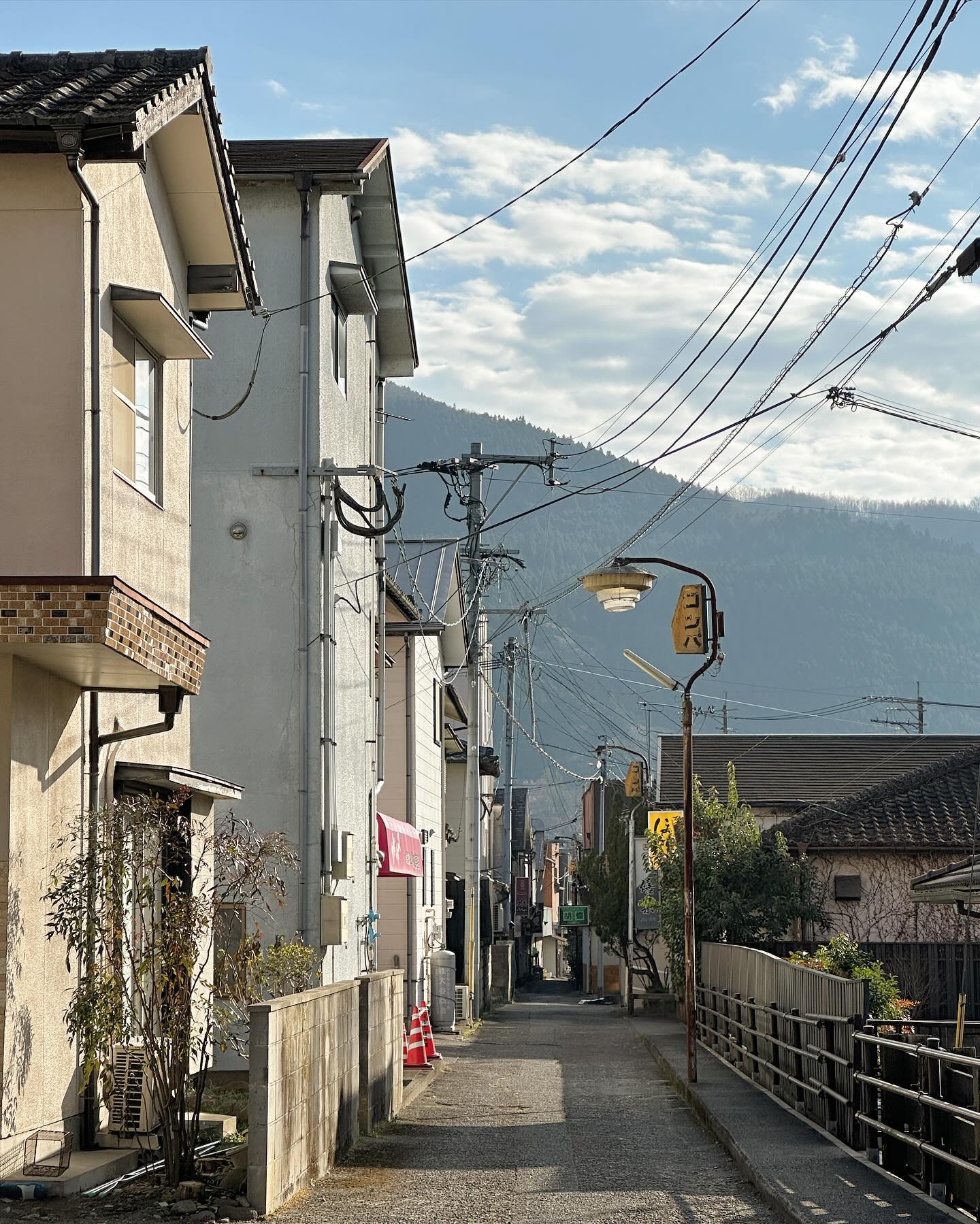 由布市 どちゃくそ可愛い。