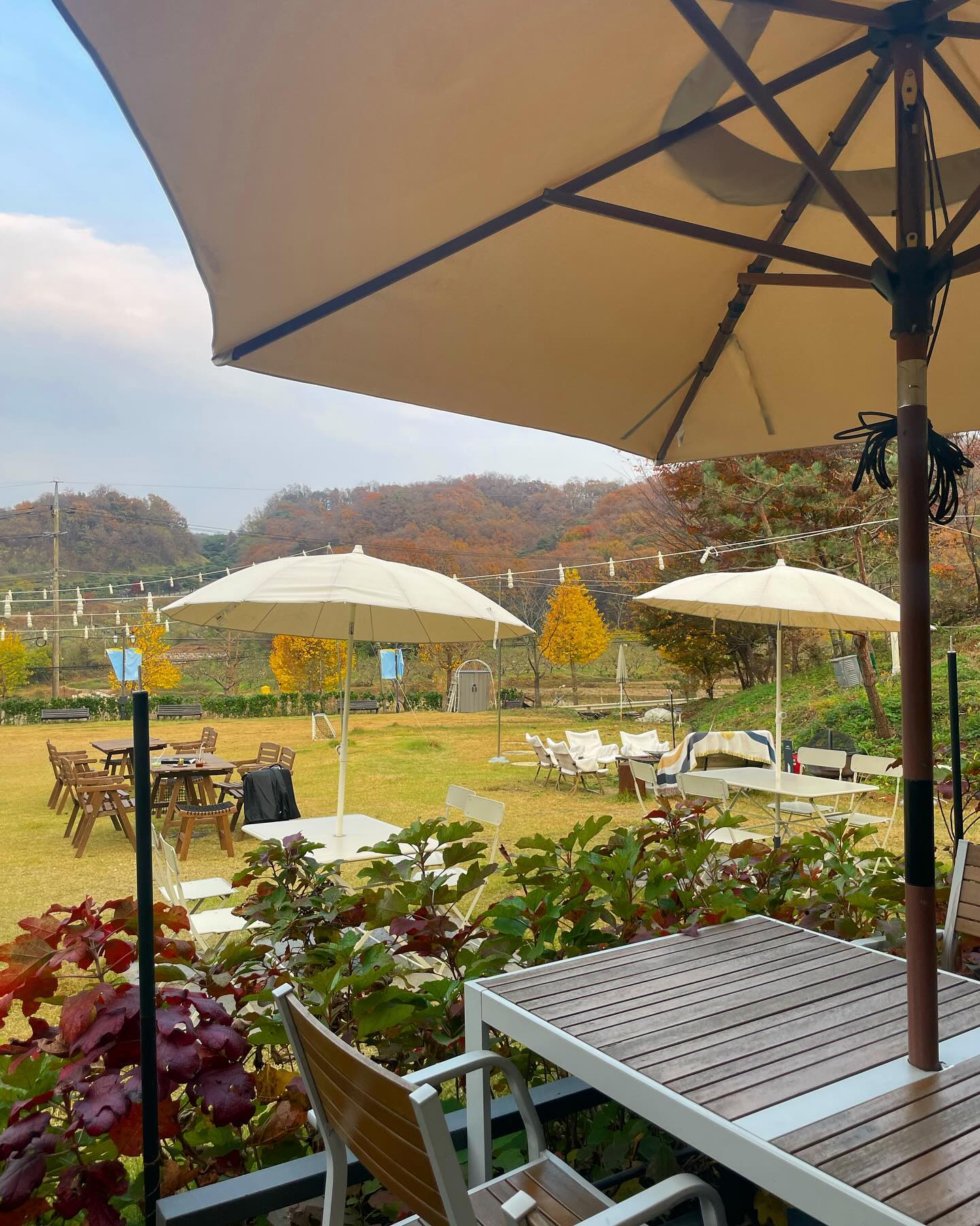 충주 비채 커피
테라스가 너무 예쁜 곳⛱️
디저트도 다양하구 커피도 맛있다.
전에 가족들과 방문했을 땐 화덕 피짜도 
정말 맛있었다🍕