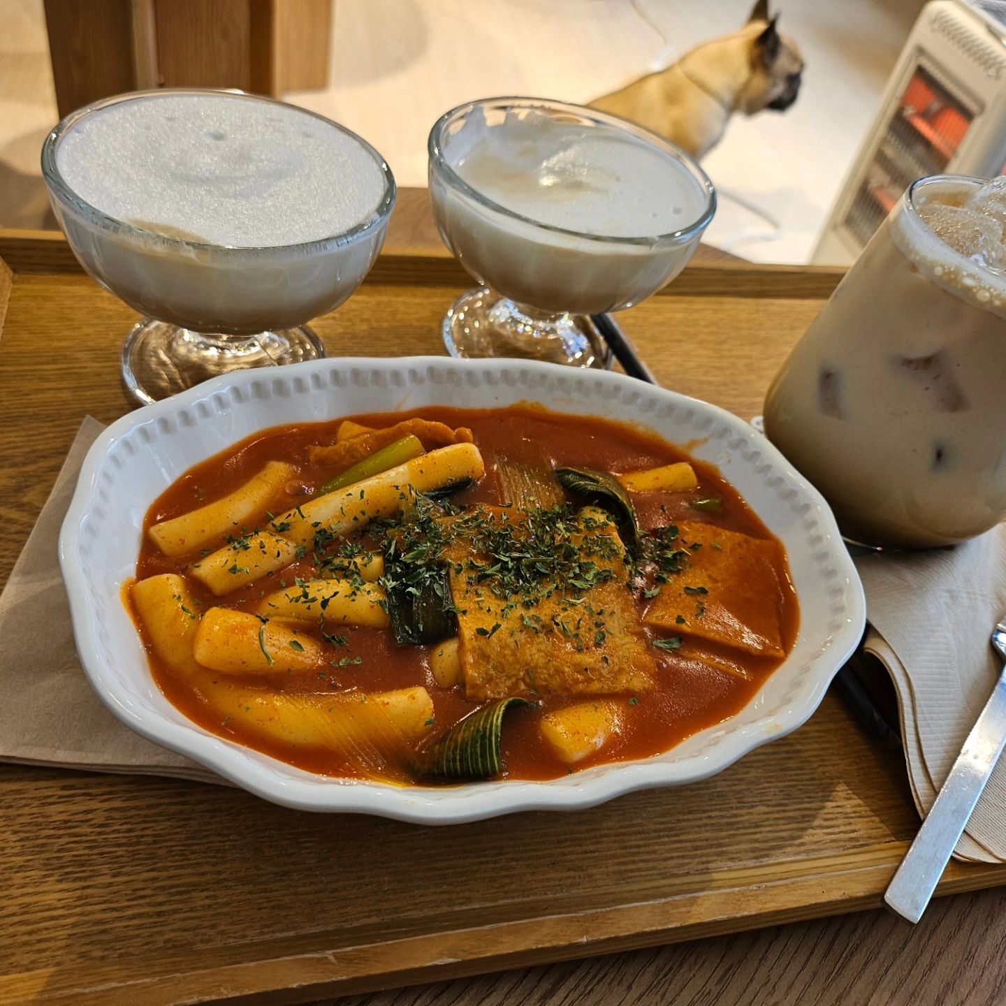 얼마만의 여유인가
비록 최악의 시기지만 
뽀솜이랑 새로운 #애견카페 방문!

#떡볶이맛집 💜 상주견 쇼리도 너무 귀엽다
뽀솜이 바쁘다는 핑계로 너무 오랫만에
나왔더니 쉬지 않고 뛰어 다닌다

#뛰뛰가젤루좋아❤️ #대구애카투어중🫡 
#멍푸치노한잔☕️ #뽀미솜이🐶🐶 #존예자매들