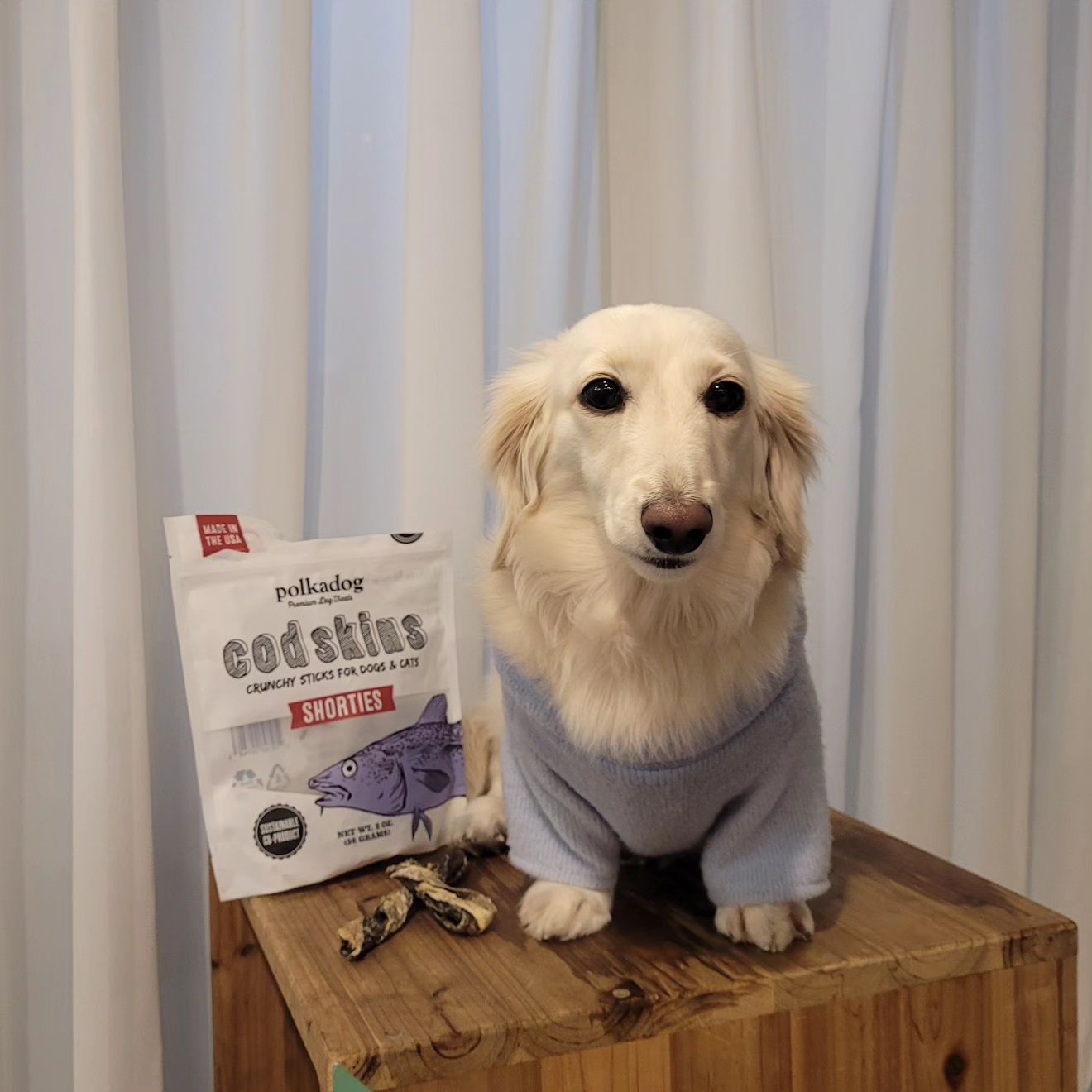 #체험단 #어바웃펫 #폴카독
aboutpet_official polkadog.korea
🩵폴카독 대구껍질크런치스틱🩵

안녕 오늘은 대구 껍질을 소개하지!!
단이가 애정하는 폴카독에서 대구껍질을 보내주셨어!
어렸을때 폴카독 치킨저키만 먹고자랐을 정도로 애정하는 브랜드에요! 

자연산 대구로 만든!!
수작업으로 껍질을 벗겨낸!
오븐에 구워낸!!
지방이적고 단백질이 풍부한!!!
저칼로리 다이어트 간식!!

바로 폴카독 대구 껍질이다!!

사용후기

모든 간식을 작게 먹는 단이는 조금커서
부담스러워 했지만 
맛있게 잘 먹었습니다
바사삭바사삭소리가 정말 예술이에요!!
다이어트 하는 친구들에게 추천!!해요!!!

#강아지수제간식 #대구껍질크런치스틱
#단밤이네
#닥스훈트 #장모닥스훈트 #멍스타그램 #댕댕이 #댕팔 #독스타그램 #pet #소통 #멍팔 #선팔하면맞팔 #멍팔환영 #petstagram #dogstagram #puppysagram #puppy #daily #일상 #애견 #강아지 #dachshund #dachshundsofinstagram #개스타그램 #loghairdachshund