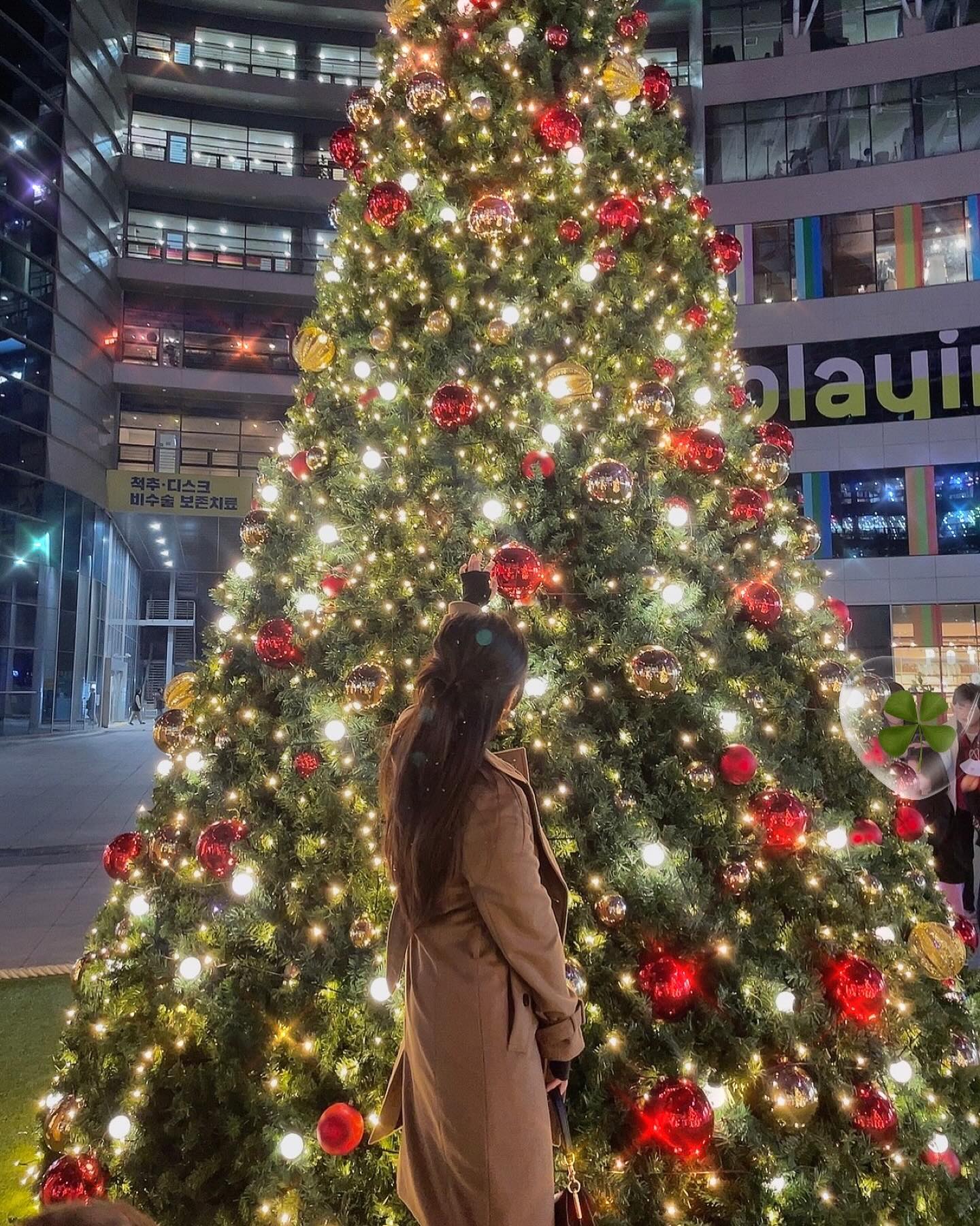 난생 처음 가본 곳 🎄⭐️