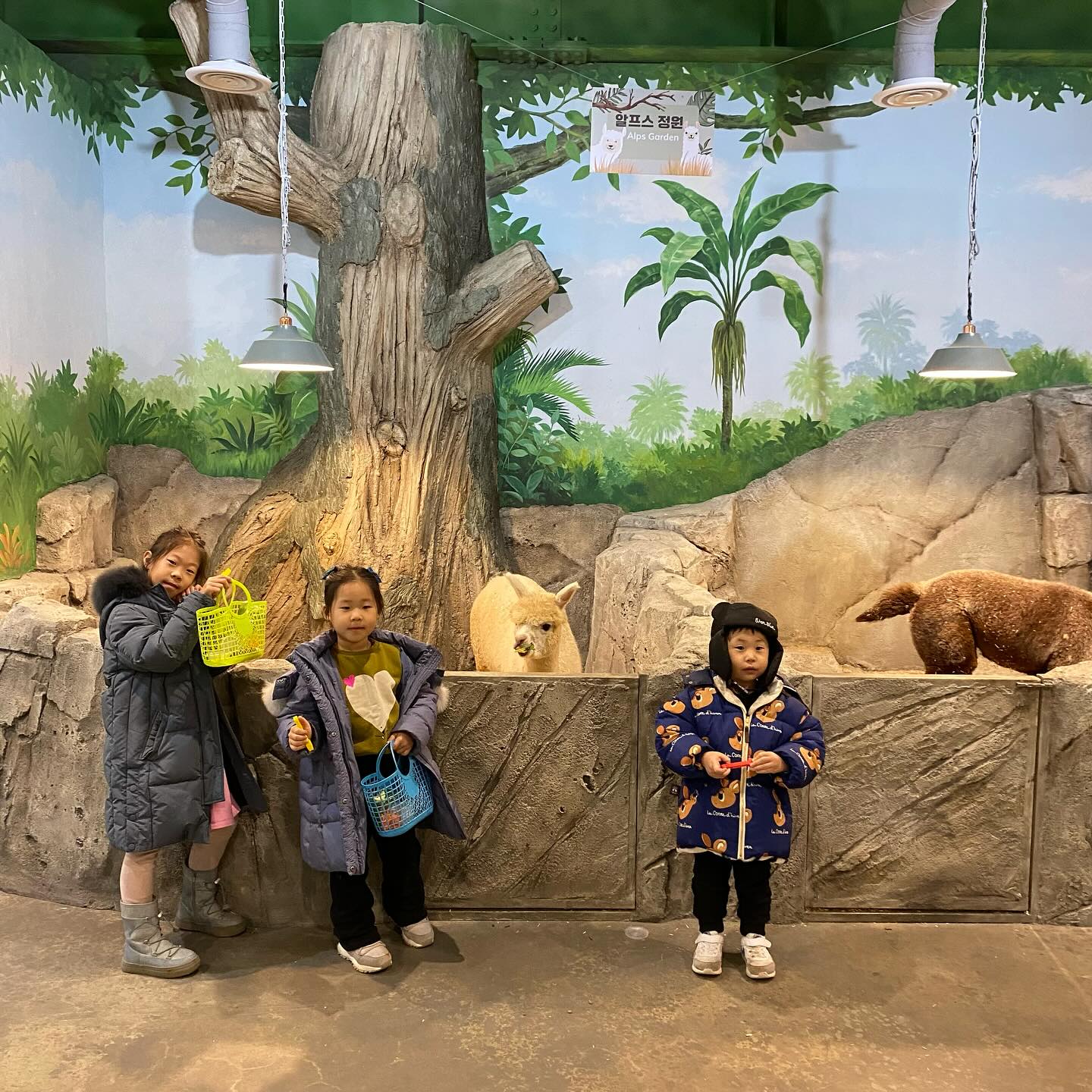 이쁘고 귀엽고 사랑스러운
꼬마3인🫶🏻

이모랑 집근처 가오픈한것으로 놀러 다녀옴!!!!😉😉

서우야!! ㅋㅋㅋ 너무 재미있는곳…. 빨리 커서 가치오쟈!!🩷
ㅋㅋㅋㅋ 너무 재미있던 2시간 ㅋㅋ 담엔 키카! 약속하고 집에옴😎

#석곡쥬니멀#쥬니멀동물원#청주실내동물원#청주가볼만한곳#청주아이랑놀기#8살#6살#4살