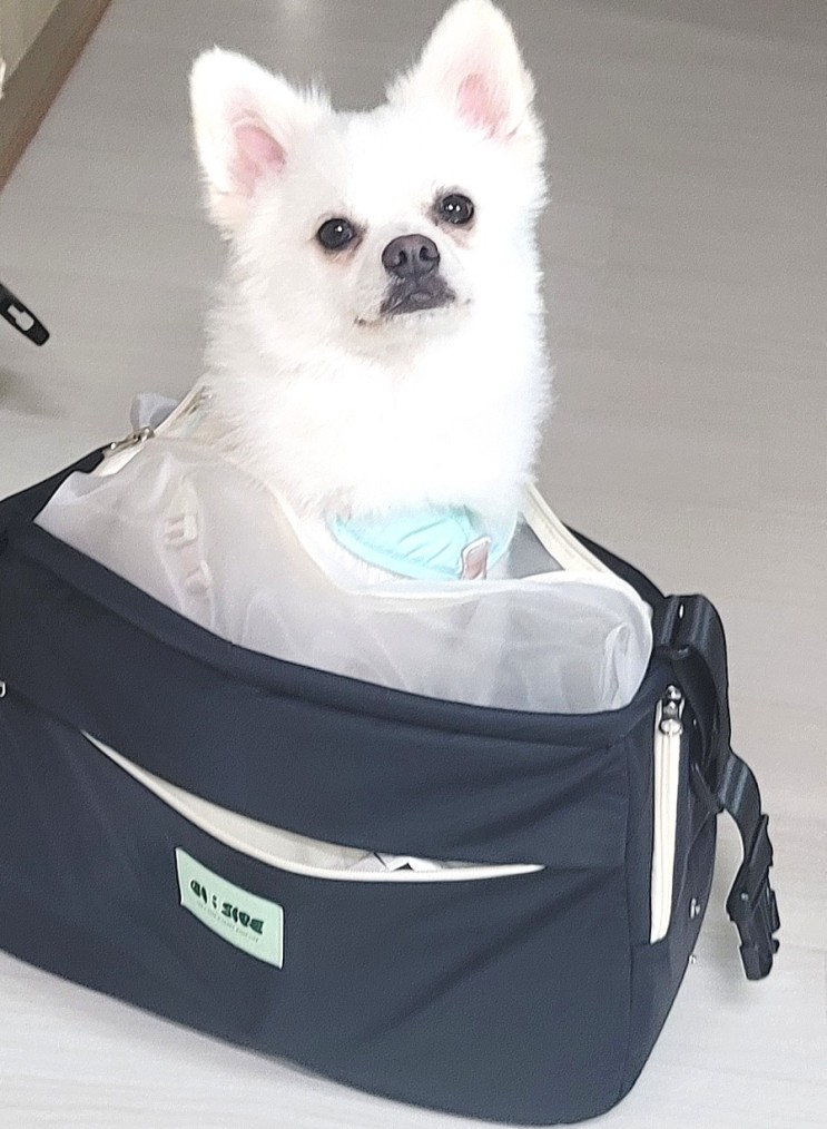 온리버디 강아지가방 쳐짐 없고 튼튼한 오아이사이드슬랭백 후기