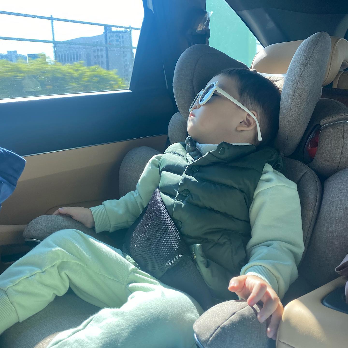 날씨가 좋군... 흠.... 💤