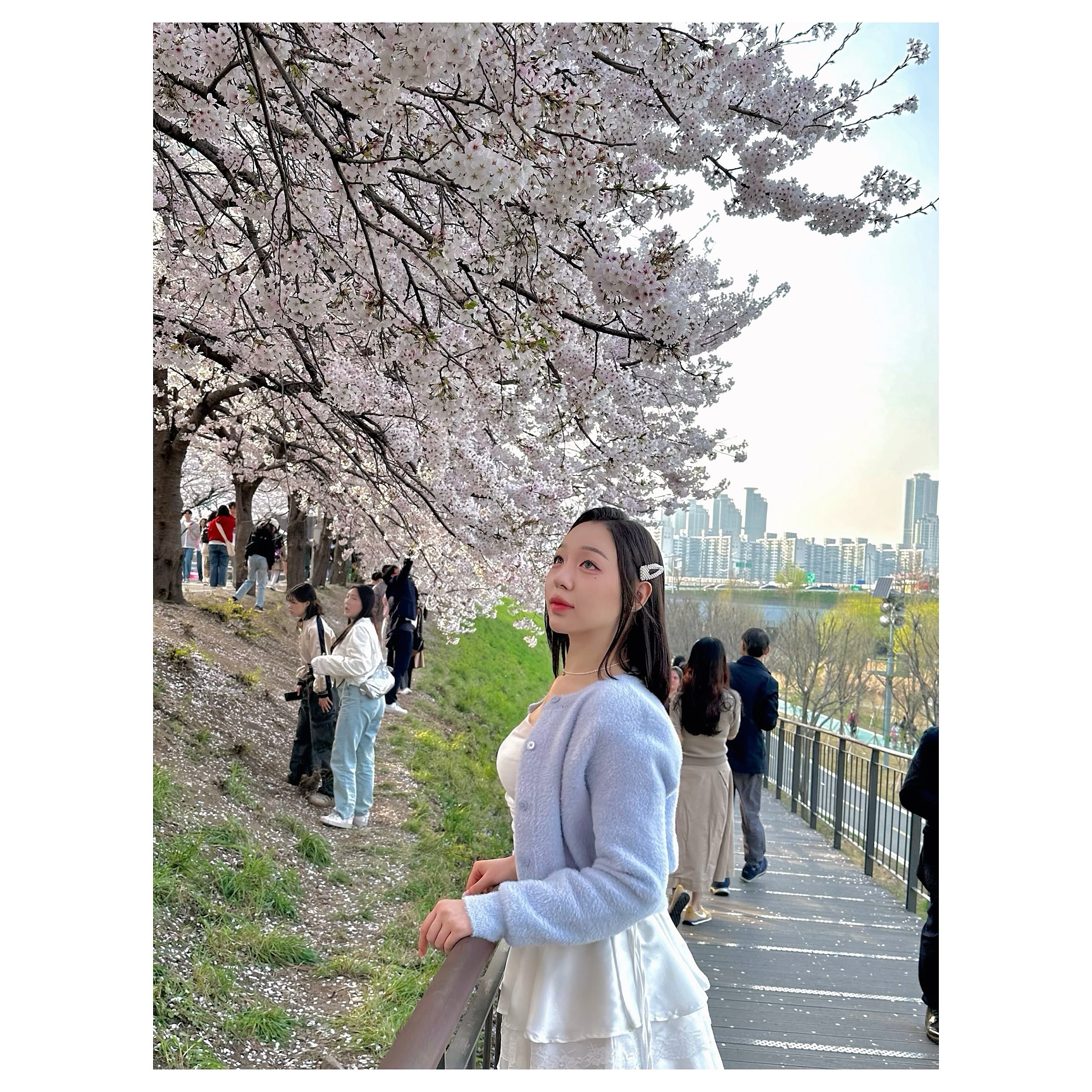 🌸🩶🌸🩶🌸

벚꽃의 계절이 돌아와따 

#🌸 #벚꽃 #벚꽃명소 #꽃 #꽃놀이룩