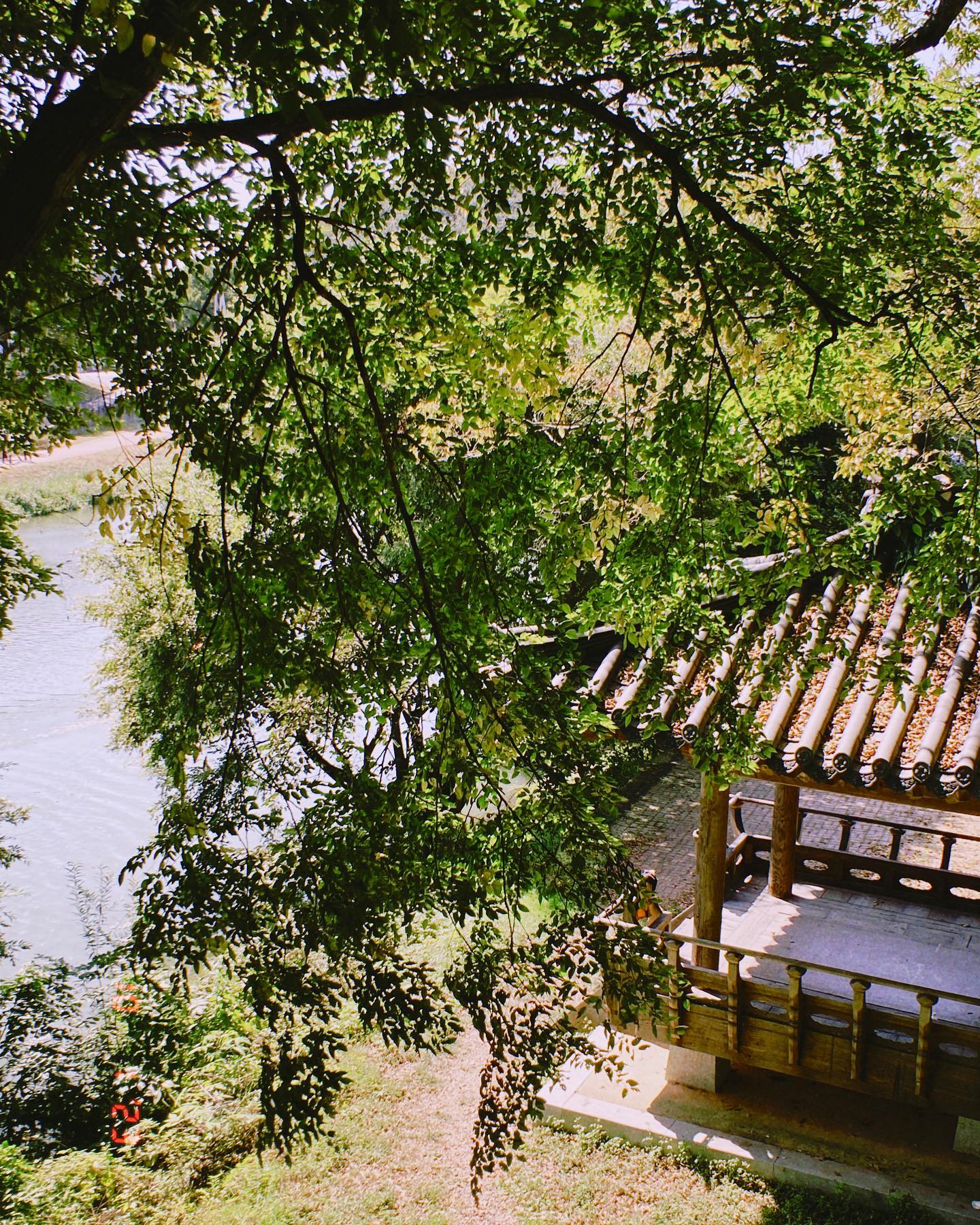 나들이 좋아 🌳🪵