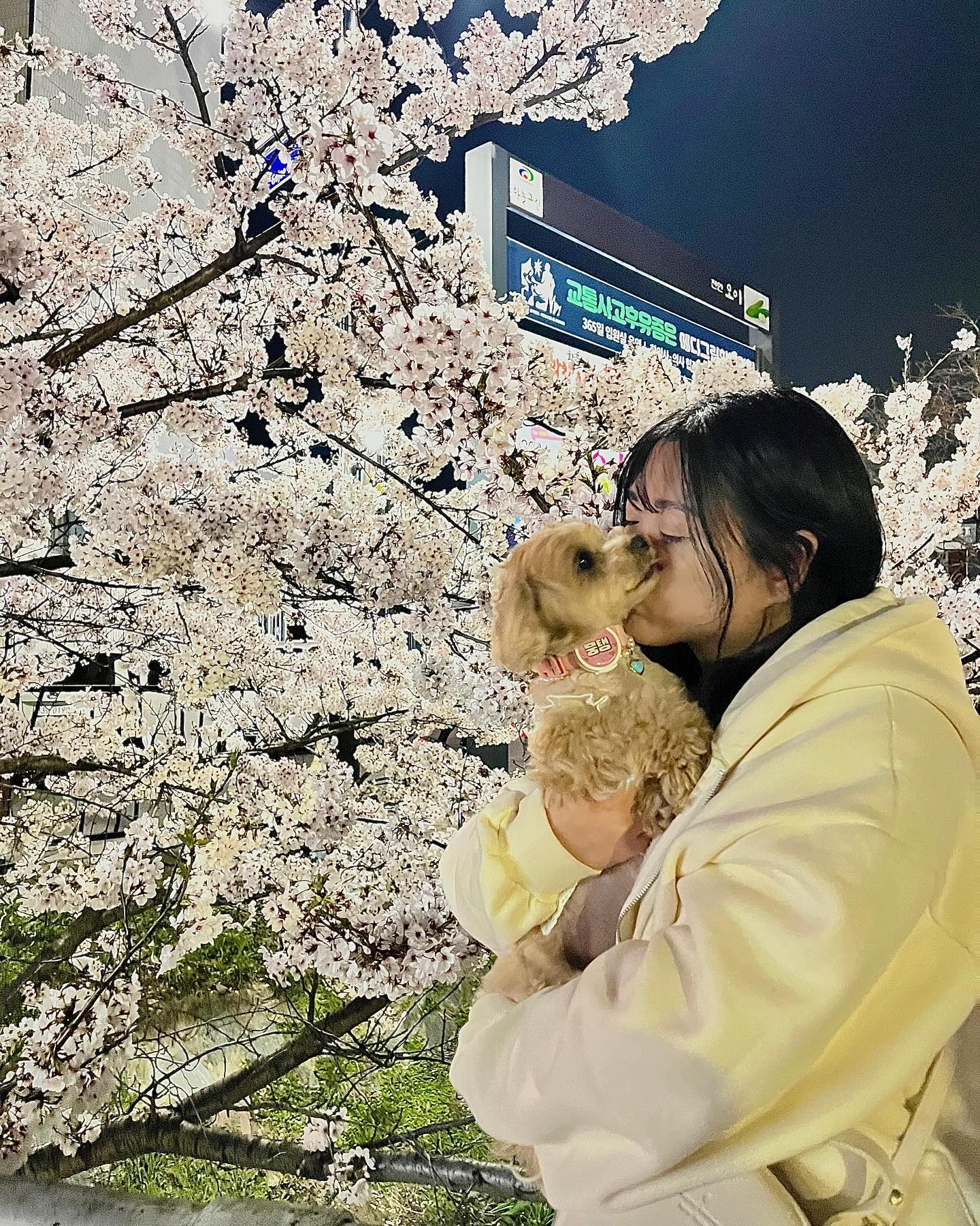 ❁

꽃놀이 실컷다니기 
뭉탱이 인기터진날…❤️