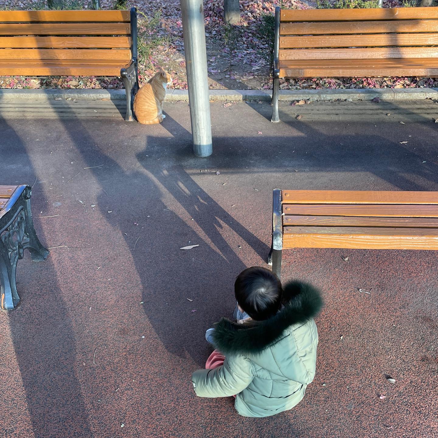 멀리서 보는게 좋은 밍구🐈
.
.
 #아기랑놀아주기 #아기랑주말 #서울근교나들이 #서울근교여행 #서울근교가볼만한곳 #16개월아기 #등원룩 #등원룩코디 #어린이집등원룩 #어린이집룩 #남아코디