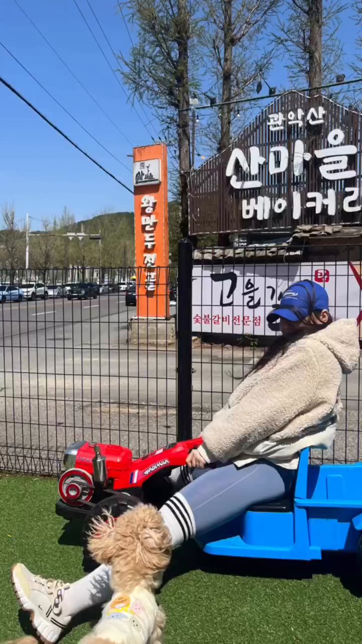 콘텐츠