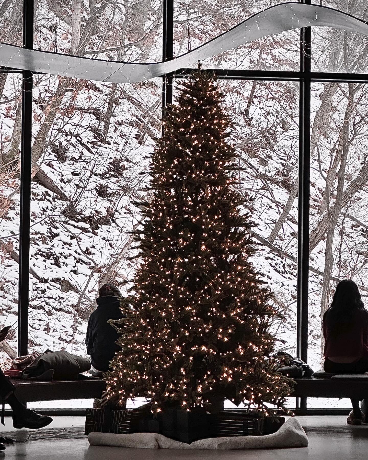 🎄