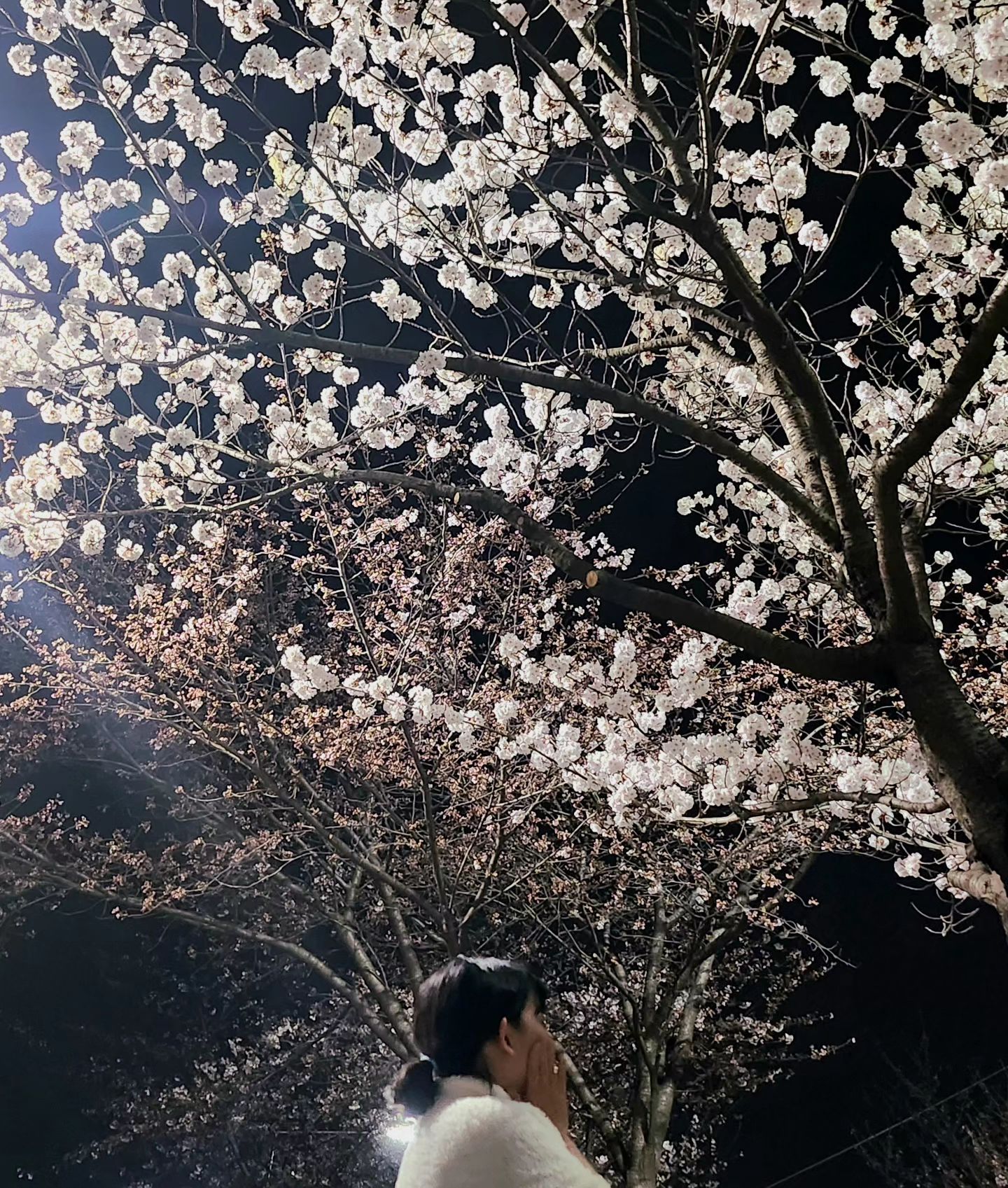 벚꽃 활짝펴라 🌸 
이거 무슨꽃인지 아는사람???
