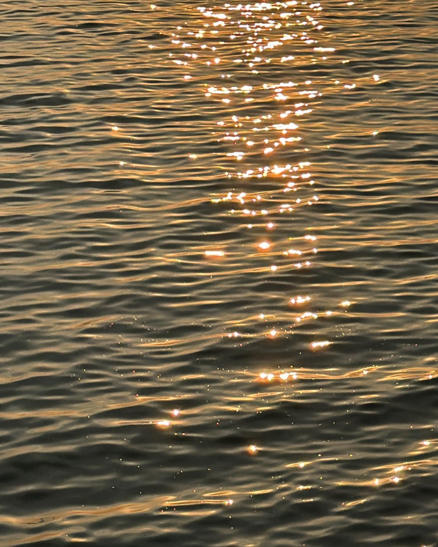 저녁노을 + 윤슬 최고야 ☀️🧡