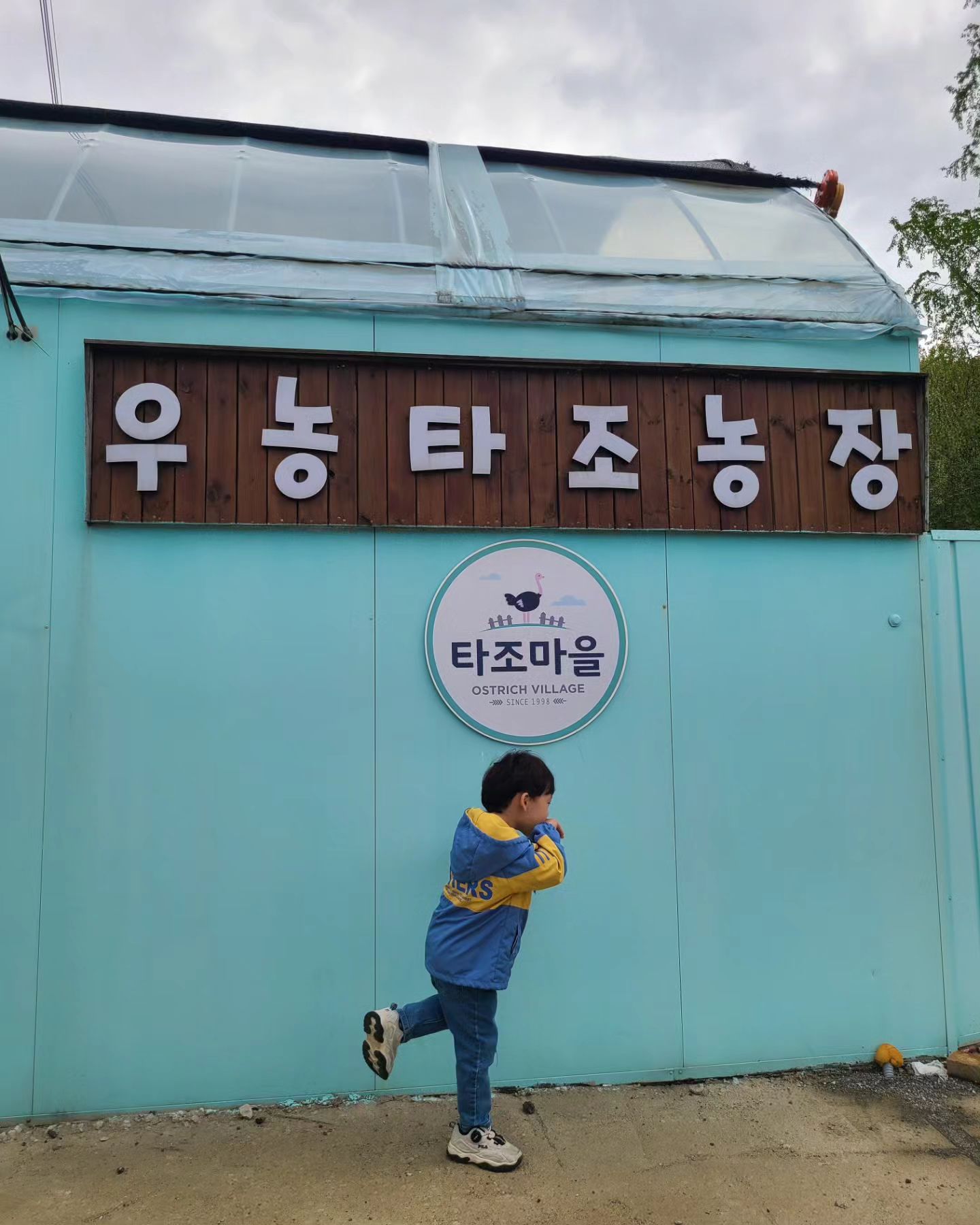 파주 우농타조농장🦃🦆

얼마전 성남에서 타조 탈출한 뉴스를 보고 복땡이가 계속 타조 보고 싶다고 했다ㅋㅋㅋㅋㅋㅋ
농장에 도착해서 "아빠~ 누가 도망간 타조에요?"ㅋㅋㅋ대충 저 타조가 도망간 친구야~라고 했더니ㅋㅋㅋㅋㅋ
복땡이가 "타돌아~왜 도망갔니? 왜 터널을 지나갔니?"😅
말하는게 웃기고 타돌이를 기억하고 있다는 것에 놀랐다!!
이제 정말 말 조심하고 예쁜말만 해줘야겠다...

먹이 체험을 올때마다 복땡이의 성장을 느낀다
아기 때는 근처도 못가더니 이제 먹이도 잘 주고 만져도 보고 이런것에 뿌듯함과 행복을 느낀다!!ㅋㅋ

요즘 말도 더럽게 안 듣고 고집도 생기고 잘 삐지기도 하지만 아직 복땡이와 둘의 여행이 가장 즐겁다~ 더 커서 아빠 안 따라가기전에 많은 곳을 다니며 추억을 쌓고 싶다😍