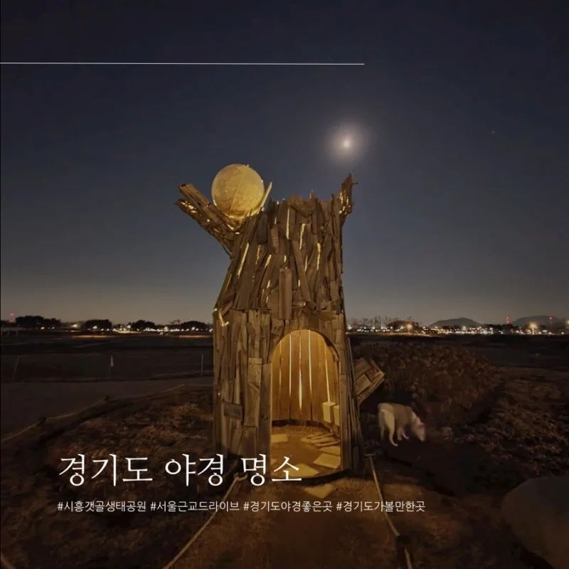경기도 드라이브코스로 유명한 시흥 갯골 생태공원 다녀왔습니다.
분위기에 취해 왔어요

#경기근교드라이브 #야경명소 #서울근교드라이브 #시흥 #갯골생태공원 #야간산책