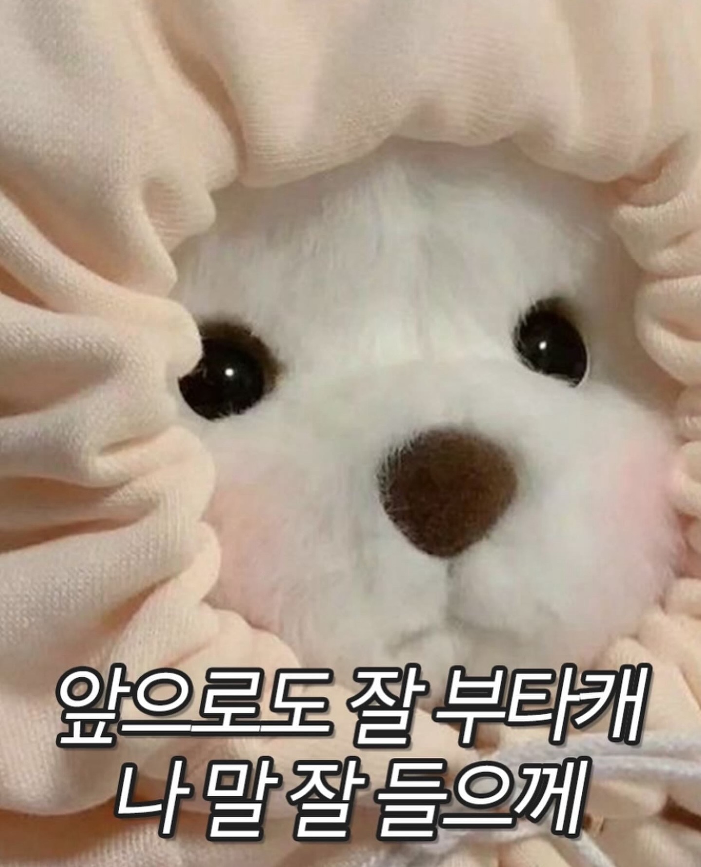 -

나 행복해 죽어도 조아

#유니콘 #🦄