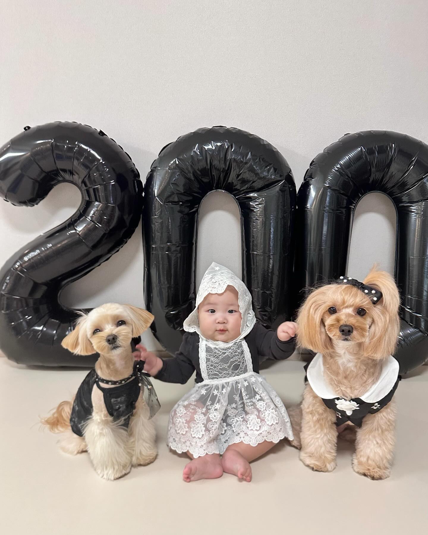 ♡⃛ 수아 200일 ♡⃛

.
.
(뚜꾸&뚜비)