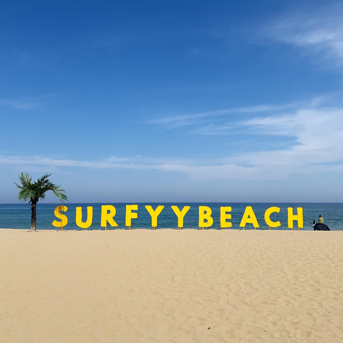 20230911-12 🌴
양양 찍먹

#surfyybeach #서피비치 #hdex #스트롱비치 #해변짐