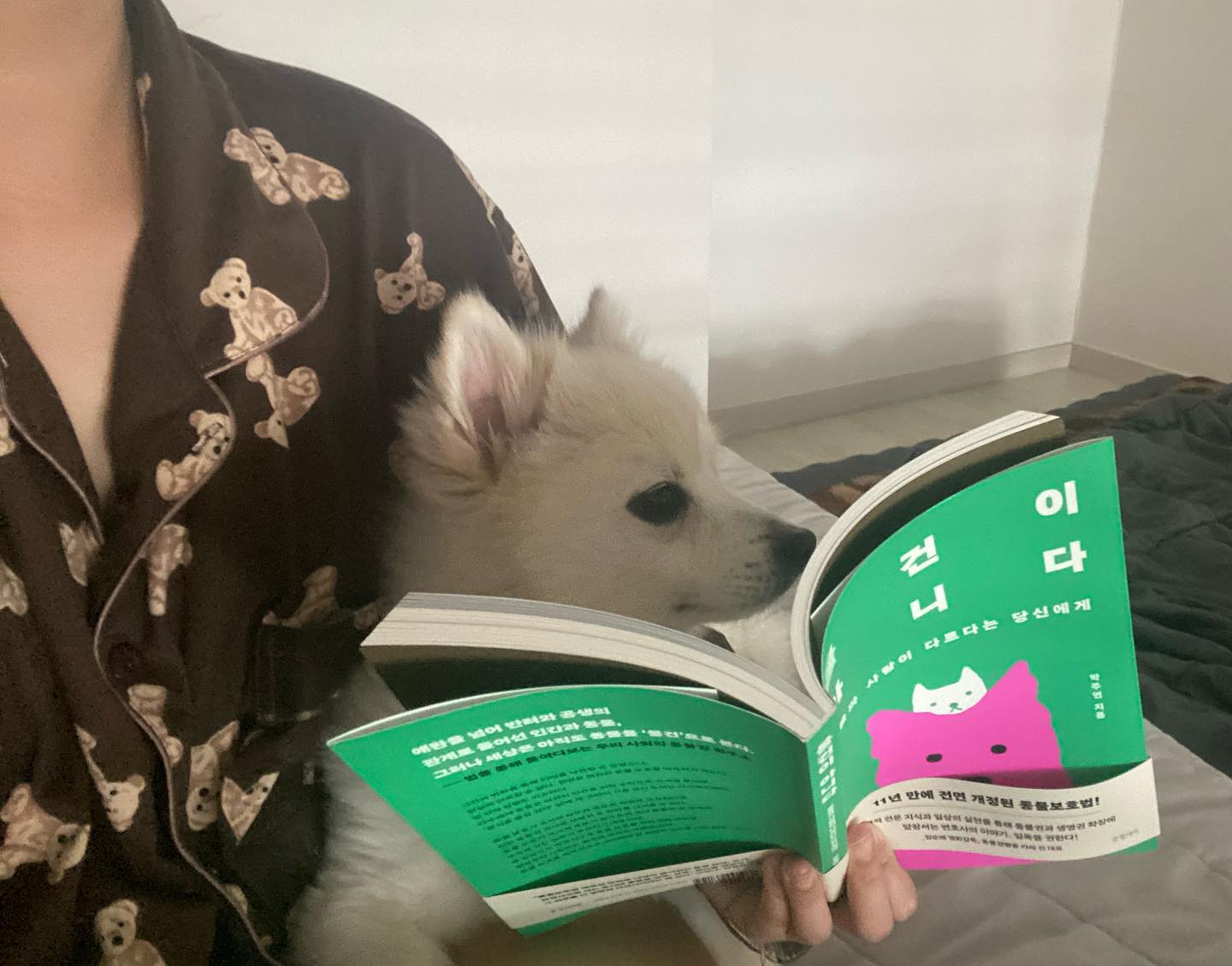 #광고 #물건이아니다  bookpot

안녕하세요🖤꽁이맘 입니다 ^_^
이번에 아주 유익한 책을 
읽게되었어요!

[물건이아니다] 라는 책인데요,
10년차 동물법 변호사가 들려주는 법을 통해서
미처 몰랐던 동물법에 대해 
많이 배우고
마음이 많이 아팠던책이에요🥲

책의 내용이 전부 좋은 내용이지만,
아무래도 전 136p 
양육포기&파양경험 그래프 수치가
굉장히 눈에 띄더라구요🤬

이유마저 정말 이해할수없고 , 
황당해서너무 화가났네요 ㅠㅠㅠㅠ

동물은 물건이 아닙니다..
필요할때 쓰고 필요없어지면 버리는
그런 물건이 아니죠..
유기견이 해가 지날수 록 
점점 더 늘고있는게
너무 마음이 아프고 , 화가나요😩

견주분들이나 , 
동물법에 관심 많으신분들은
꼭 한번 읽어봐야 할 책이니까 
모두 이 책에 많은 관심 가져주세요🐶

유기견이 없는 세상에서 살고싶어요 ㅠㅠ

#물건이아니다 #동물권변호사 #박주연 #글항아리 #동물은물건이아니다 #동물권 #신간 #책소개 #책스타그램 #북스타그램