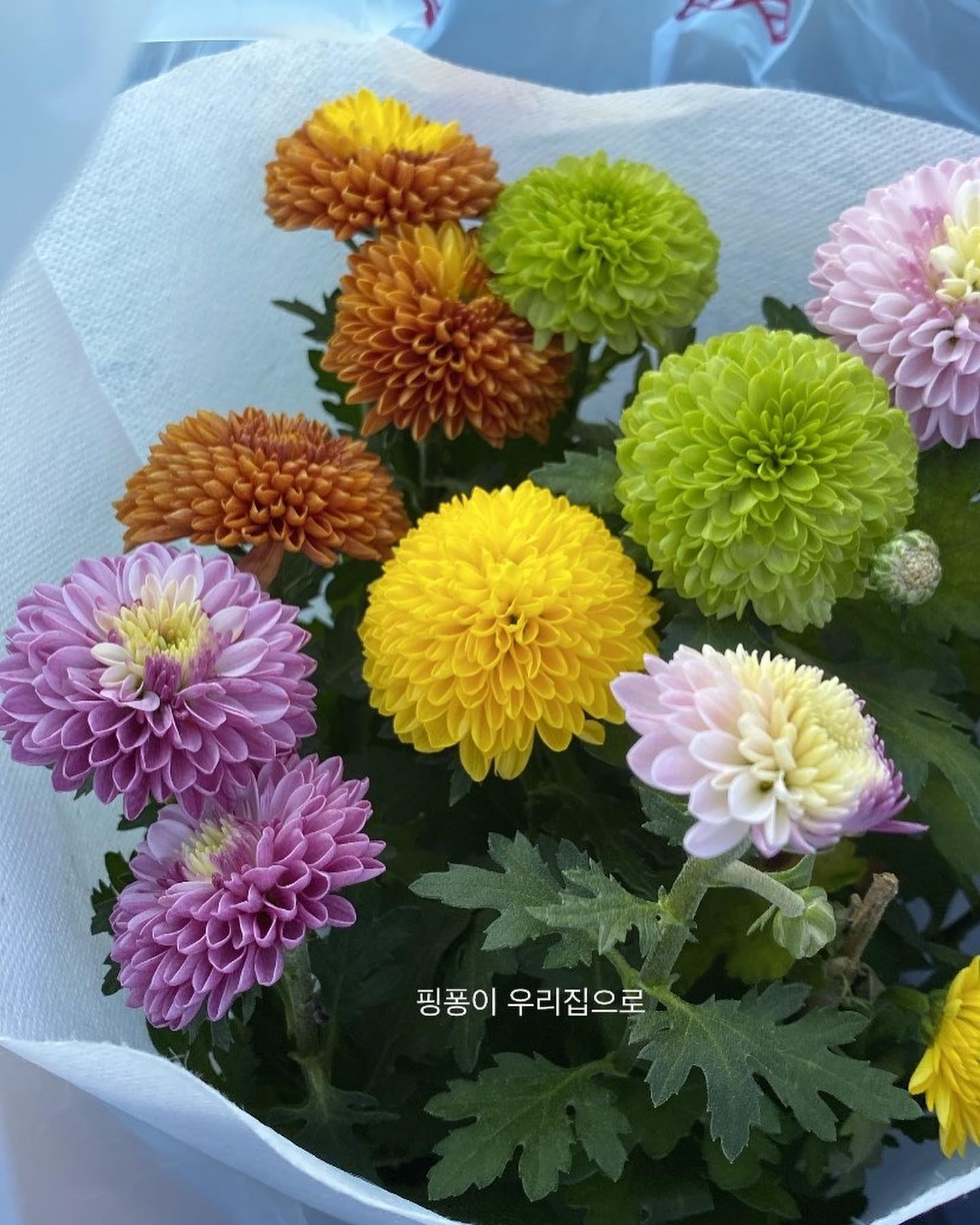 정신 완전 사나운 책상