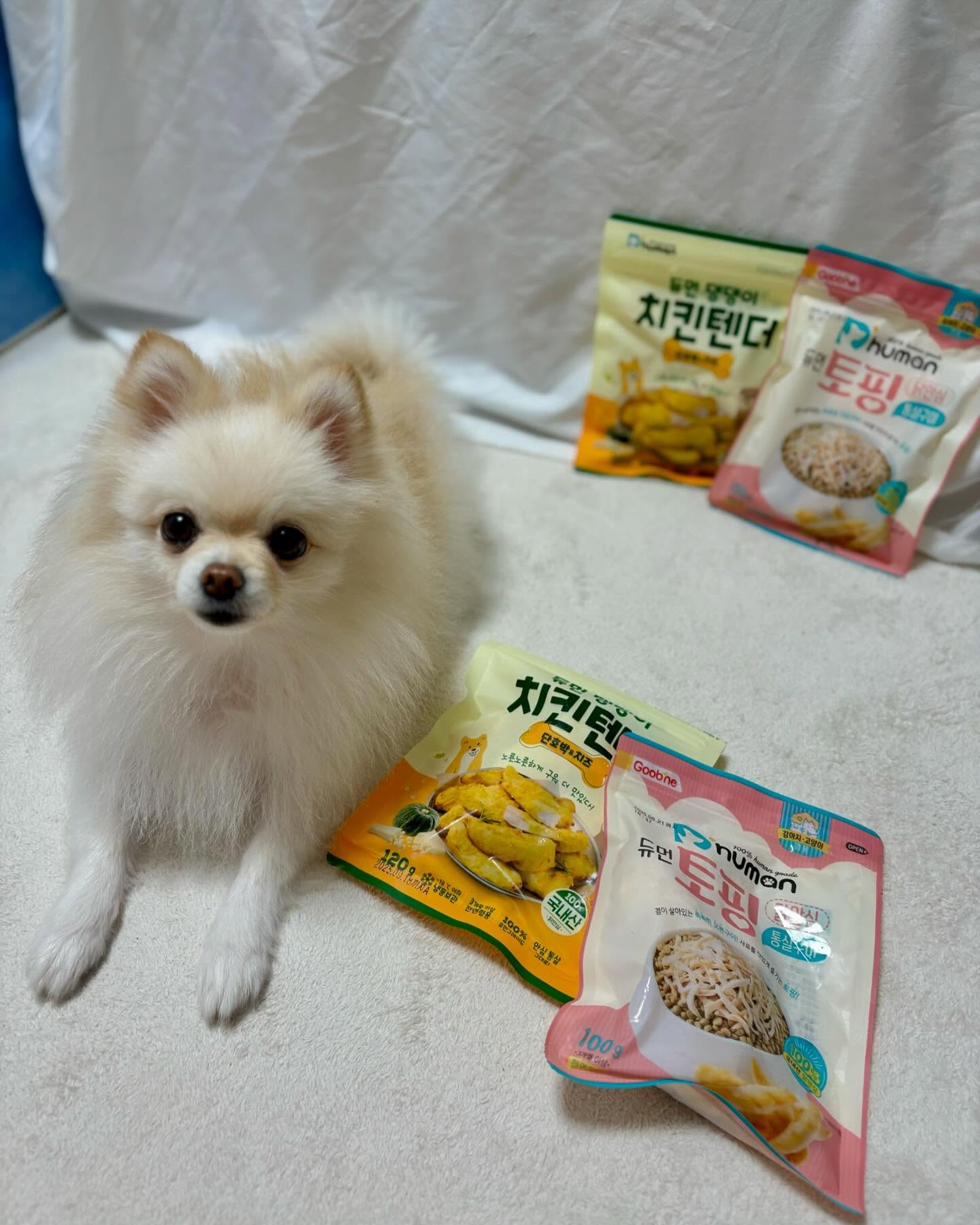 #광고 

#듀먼 에서 나온 토핑 닭안심 통살구이 + 댕댕이치킨텐더 2종! 보리가 먹어봤다멍🐶

기존에도 통살구이는 보리가 넘 좋아하는데 보리 완전 땡잡았다야~! 
사료 위에 토핑만 골라먹은 건 안 비밀🤫🤫 이젠 치킨 먹을 때 #강아지치킨 으로 듀먼 먹어보자🍗🍗
지퍼백으로 뜯고 나서 다시 냉동 보관할 수 있어 편리하게 보관도 가능❤️

구매는👉 dhuman_happy 

🍗듀먼 토핑 닭안심 통살구이🍗
🍗닭안심 통살 100%를 오븐에 구운 후 급속 냉동해 풍미가 살아있는 건강간식
🍗한 조각에 20 칼로리로 부담없는 저칼로리 고단백 영양간식
🍗평상시 간식으로 급여 OK, 사료와 함께 토핑으로도 OK
🍗휴먼그레이드 등급이라 안전하고 위생적인 국내 생산

🎃듀먼 댕댕이 치킨텐더🎃
🎃오븐에 구워 겉은 노릇하게 속은 촉촉하게 부드럽고 담백한 수제간식
🎃단호박과 치즈를 더해 풍미 극대화하여 기호성 만점 통살간식
🎃치킨 먹을 때 미안해 할 필요 없이 강아지도 함께 즐길 수 있는 강아지 전용 치킨
🎃휴먼그레이드 등급의 재료만을 사용!!

#듀먼간식 #강아지닭고기 #강아지치킨텐더 #댕댕이치킨텐더 #강아지간식 #강아지간식추천 #강아지수제간식