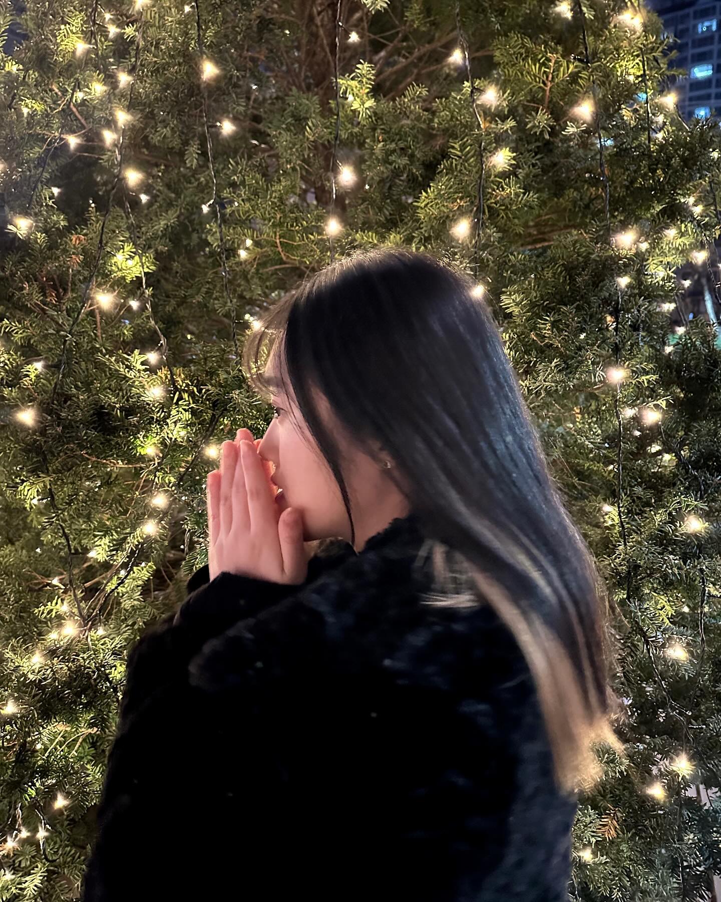 🎄Merry christmas🎄