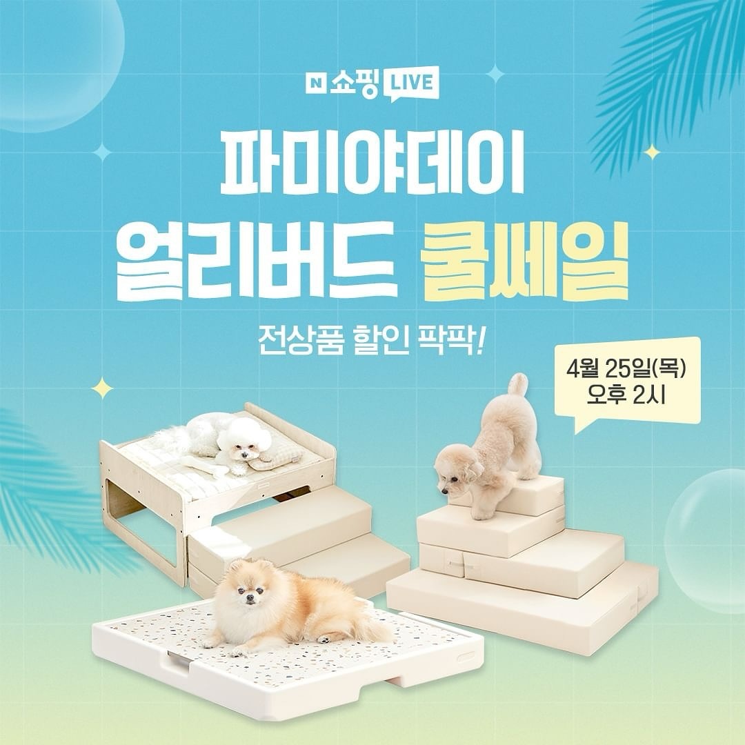 Posted withregram • famiya_hbok 
4월 25일 (목) 오후 2시부터 딱 1시간!!
1년만에 돌아온 파미야 쇼핑라이브에서
전제품 얼리버드 쿨쎄일을 진행합니다🐶

저희 쇼핑라이브 진~~짜 귀한거 아시죠?
오랜만에 역대급 혜택으로 찾아 온 이번 쇼핑라이브!!

파미야 쿨매트 85,400원 → 56,117원 특가!
변신계단, 강아지매트 등 전제품 할인혜택까지👍

💛 구매인증 10명 로프토이 증정
💛 5만원 이상 구매 시 배변패드 10P 증정
💛 10% + 2천원 할인쿠폰 발급
💛 방송 중 구매 시 최대 7% 포인트 적립
💛 포토리뷰 작성 시 최대 6천 포인트 적립

자세한 내용은 프로필링크에서 확인해주세요🩷
내일 쇼핑라이브에서 만나요🤗🤗