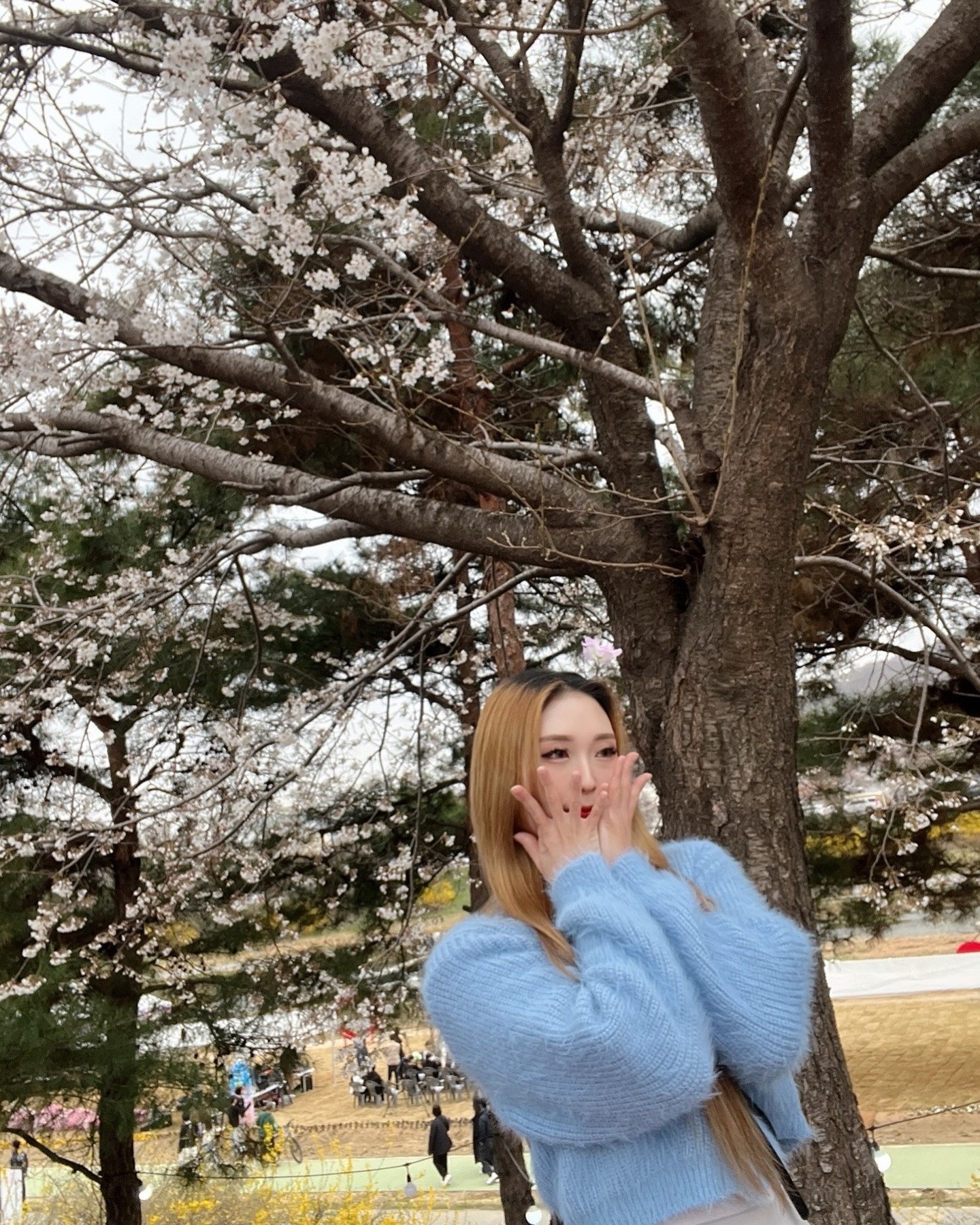 예쁜 척 해보기~

아이 재밌어

#벚꽃축제 #벚꽃 #인생샷 #꽃 #꽃구경사람구경 #먹을게최고 #파티 #🌸❤️