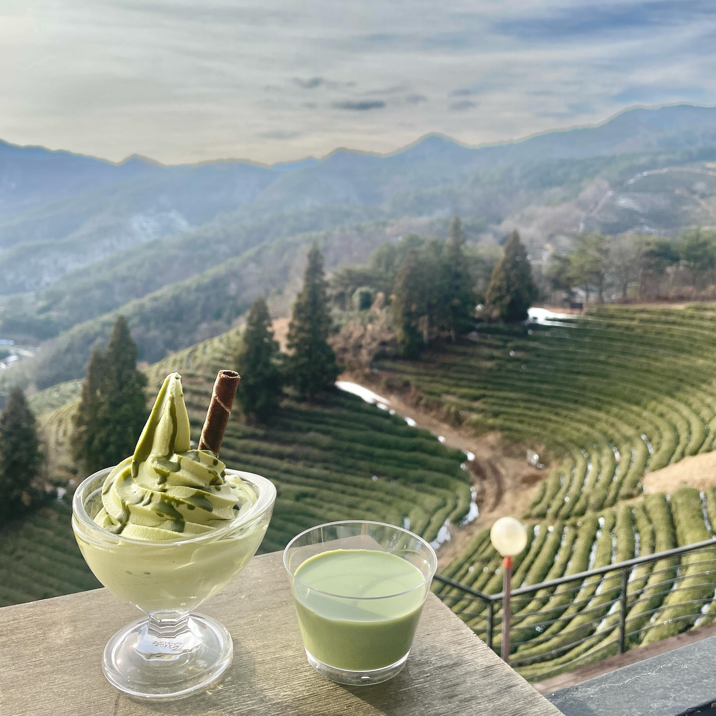 탁 트이는 뷰🌱💚

여기카페 올려고 보성온거 안비밀🤭
뷰도 이쁘고 카페에 개냥이도 있고
힐링 그 자체✨

알차고 행복했던 여행이라 기억에 많이 남을거 같아요! 
재충전했으니 다시 화이팅해보아요🤍