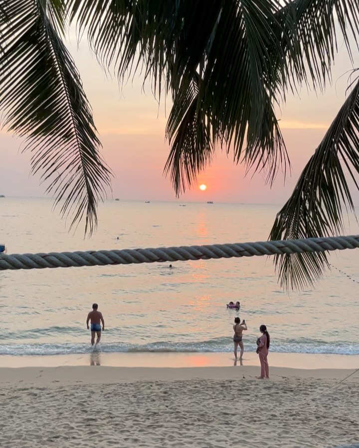 🌅..