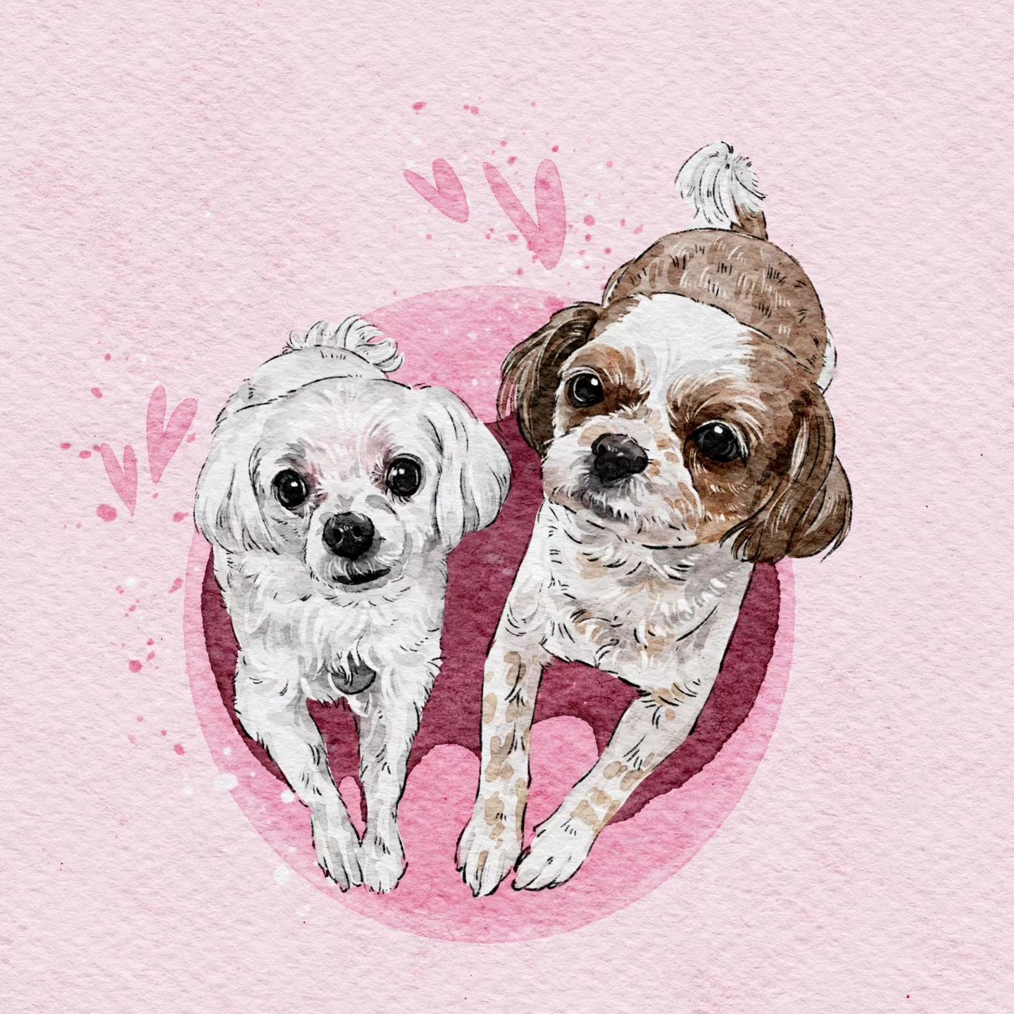 ♡

이쁜,내새끼들
#하레 #콩순