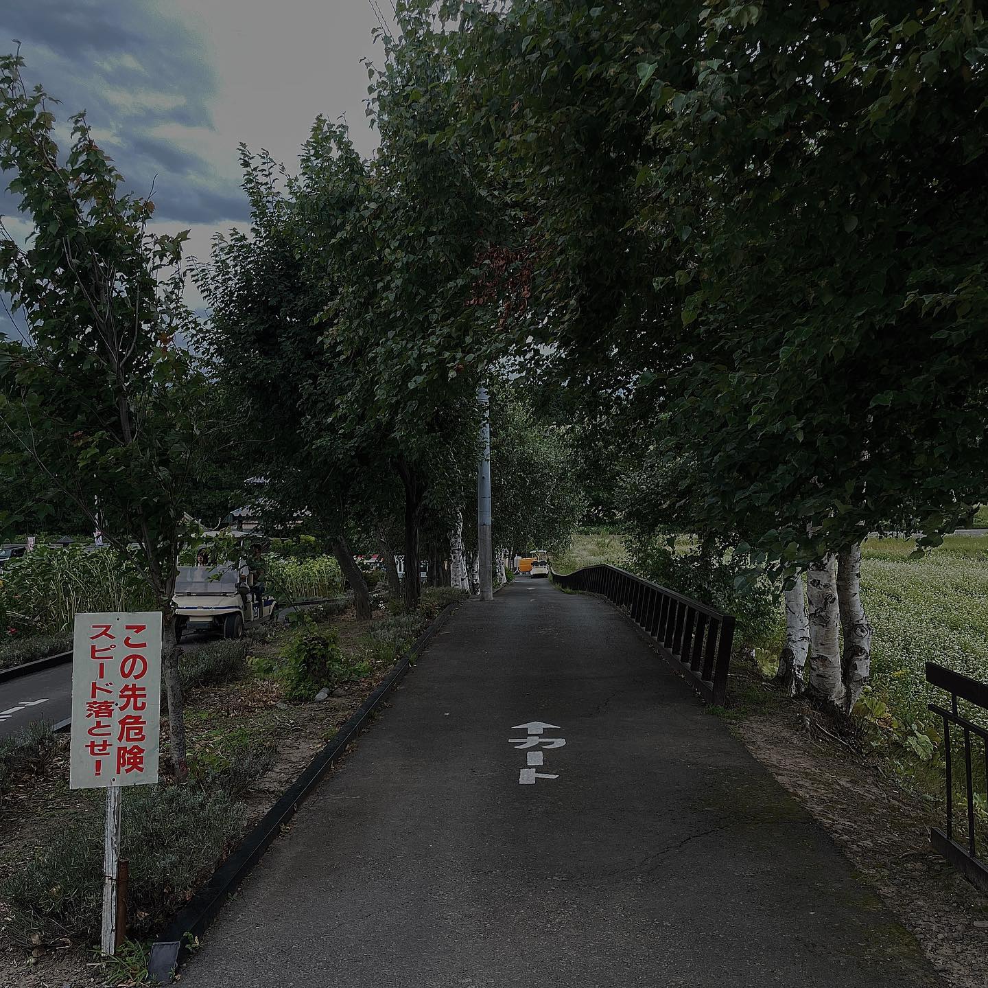 美瑛町