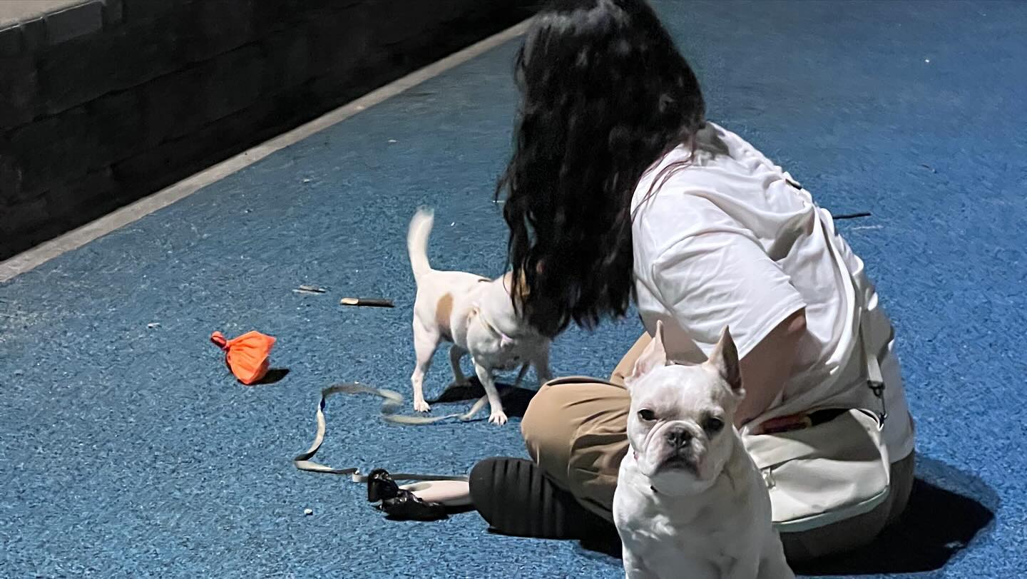 꼬깃꼬깃
