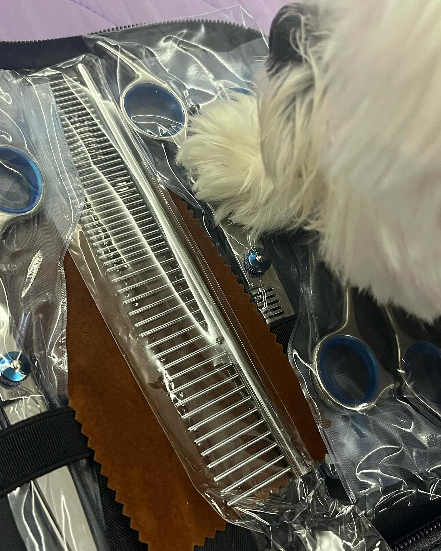 이게 모지..🐶✂️