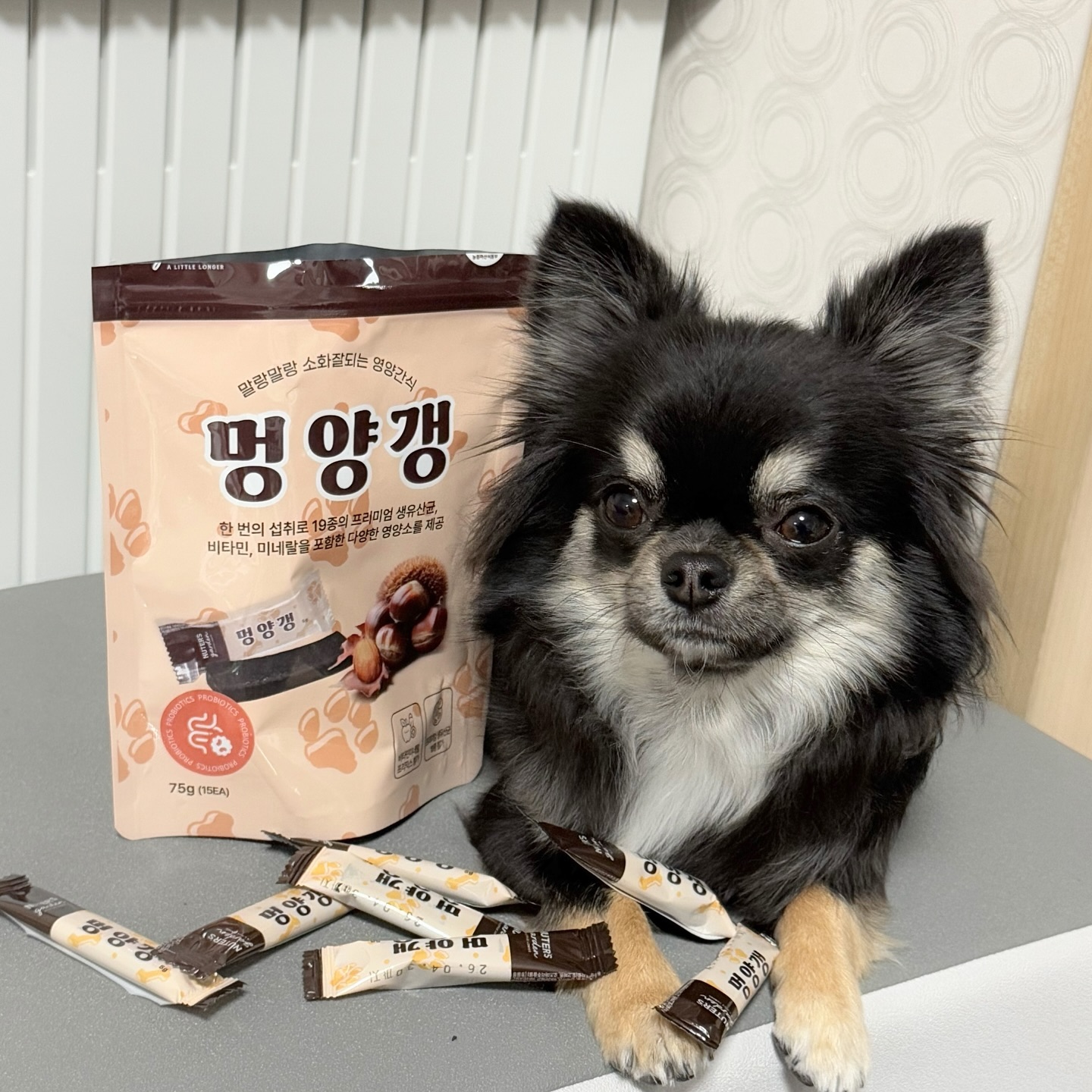 #제품제공 nutersgarden 
탄이가 제일 조아하는 간식😛
누터스가든 멍양갱🫰🏻

멍양갱은 건강에 좋은 고구마, 완두, 밤을 넣어 만들었고
우리 아이 건강에 좋은 기능성 원료, 비타민미네랄프리믹스와
면역력을 위해 꼭 필요한 유산균, 가장 효과 있는
프리미엄 생유산균도 함유하고 있답니다☺️

촉촉 말랑한 타입이라 손으로 잘라서 급여하기 좋고
개별 소포장으로 위생적이고 휴대하기 좋고 보관도 편리해요💓
​
한 입 크기로 잘라주면 오물오물 너무 맛있게 잘 먹는 탄❣️

#강아지영양간식 #강아지유산균간식 #누터스가든 #멍양갱 #누터스가든간식
