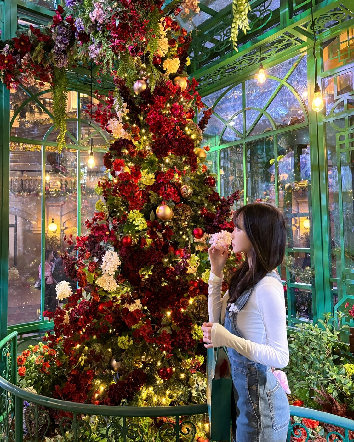 🎄