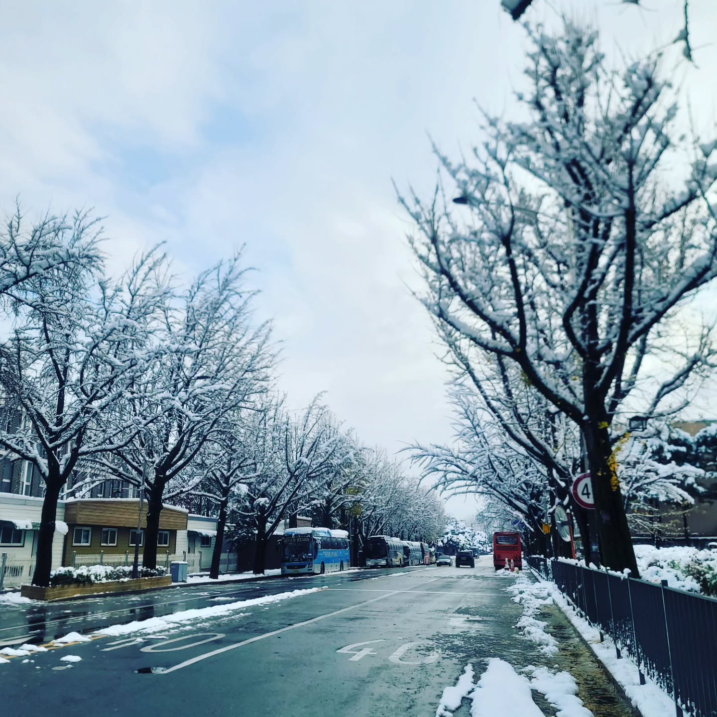 도서관 출근길 봄여름가을겨울 다 느낄수 있어 감사합니다❄️
.
#도서관출근길