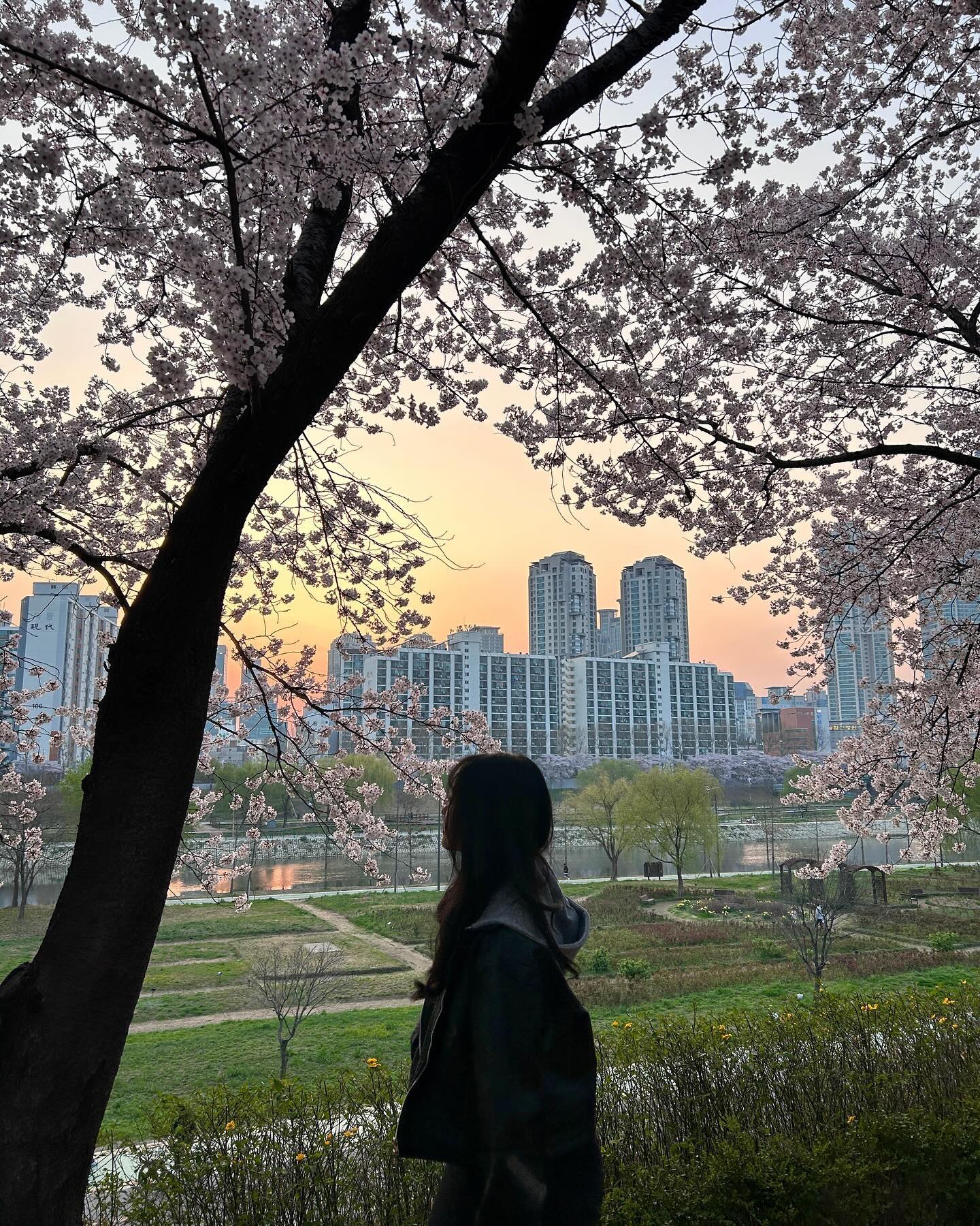 다음엔 밝은 옷 입고 가기•••✍
꽃사진 엄마st로 찍어보기 구웃🫶🏻🌸