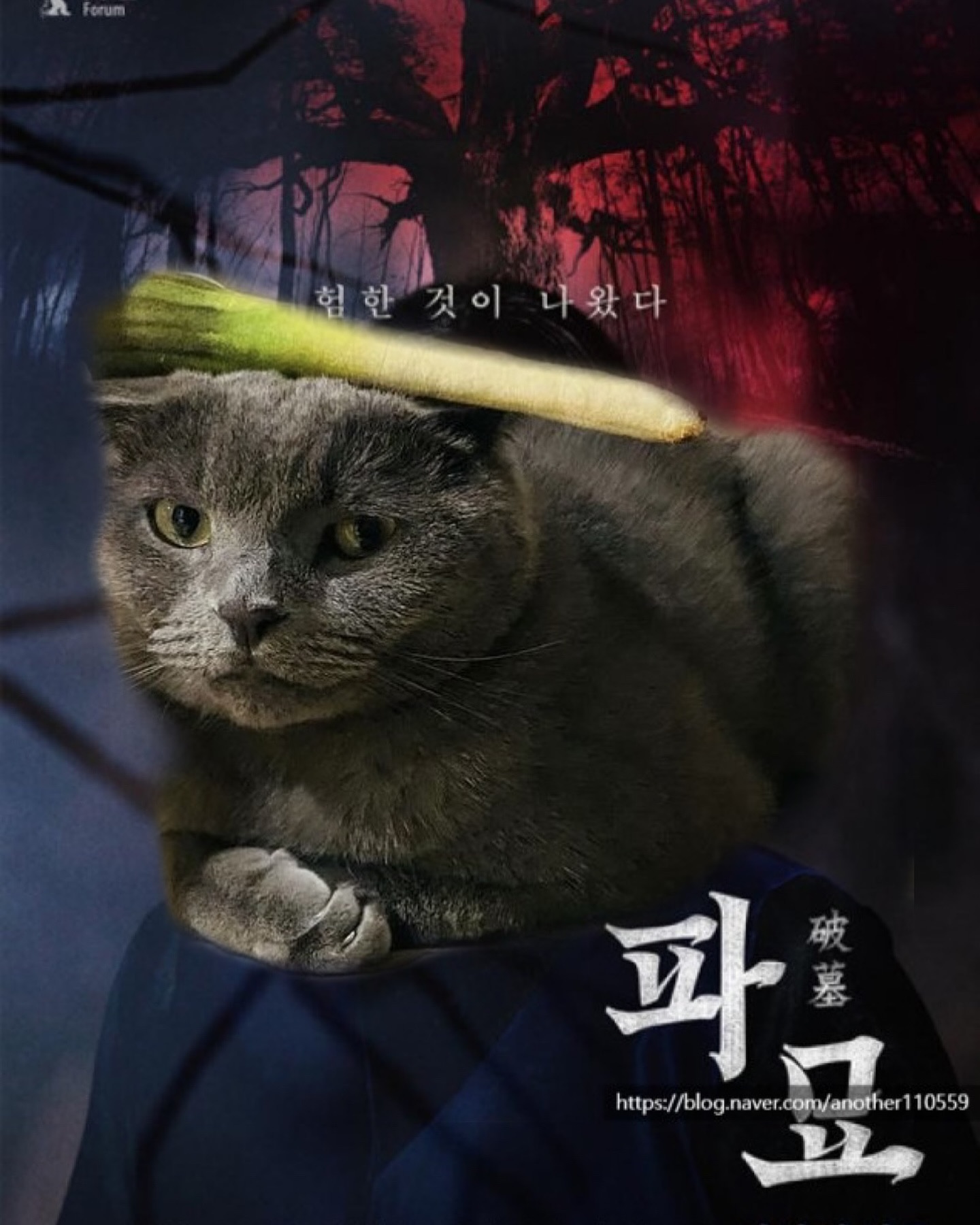 #파묘 🥬🐱

#고양이일상 #회색고양이