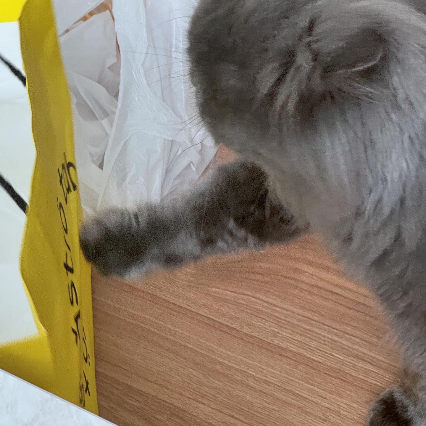 비닐맨