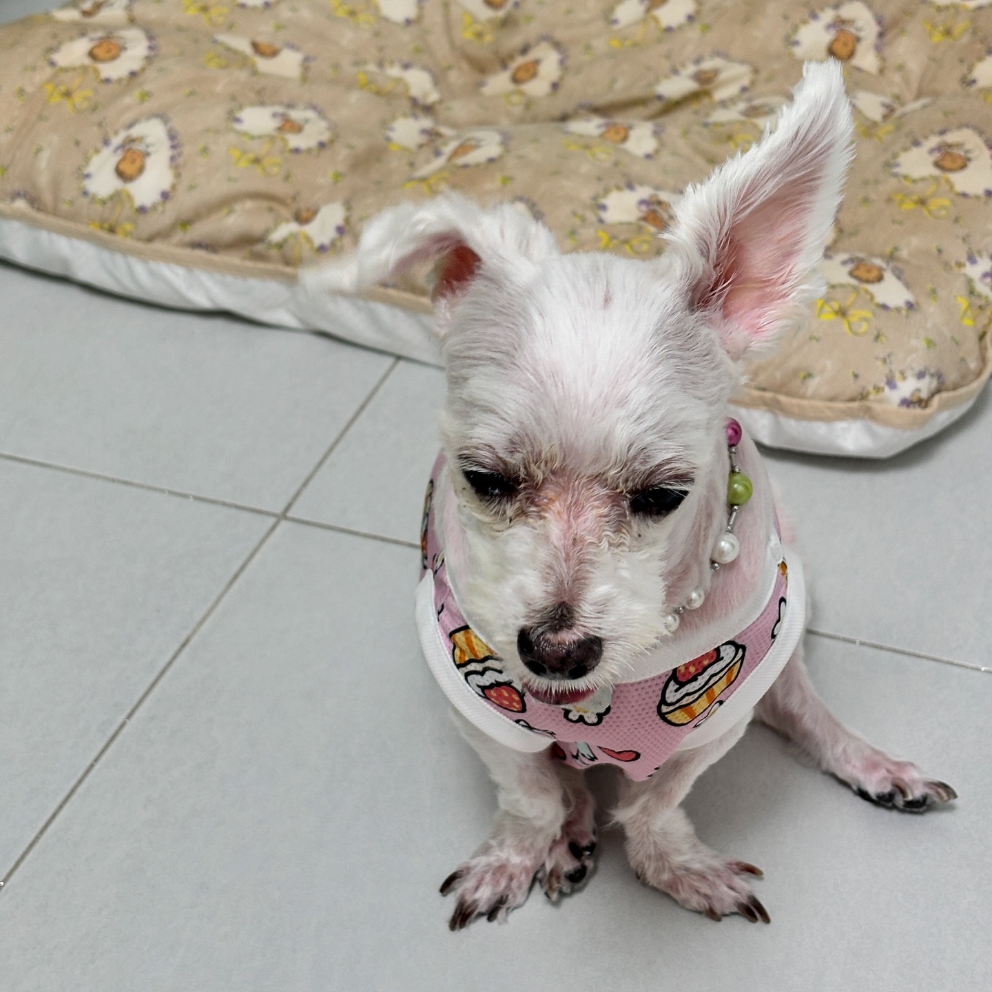 아침부터 힘이 넘쳐나시는구만요?