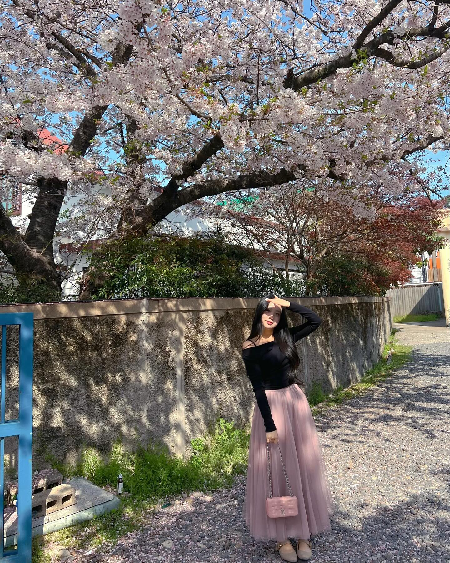 봄이 좋아 
⋆⭒˚｡⋆🌷. ˚ ༘♡ ·