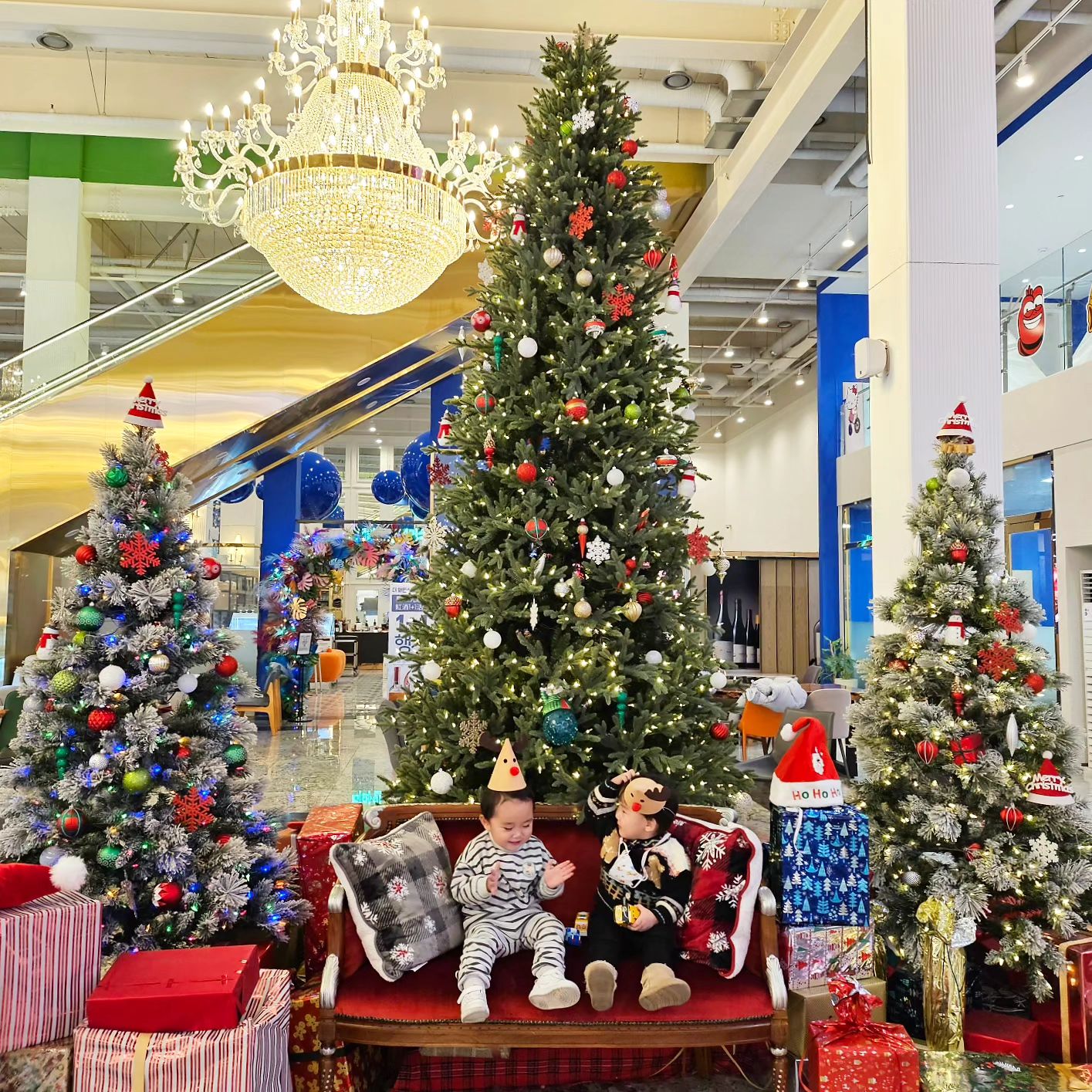 📍김포 포지티브스페이스566 

이번주도 트리사냥꾼들 출동!🎄
야외 트리는 아니었지만 그래도 예쁨

둘이서 아주 짝짝꿍이 잘 맞아서
둘만 있으면 아주 평화로운데
모르는 친구들이 근처에만 오면
그때부터 엄마들이 힘들어짐

미운4살이 오고있는 우리 아가들
살살 좀 부탁할게....😵‍💫

이제는 하원 하면서 집쪽으로 안 가고
지하주차장쪽으로 가면
하람이랑 카페 가냐고 물어보네 ㅋㅋㅋㅋ

소금빵과 카페를 좋아하는 아가들
담주에도 소금빵 먹으러 가자🥐🥯🥖